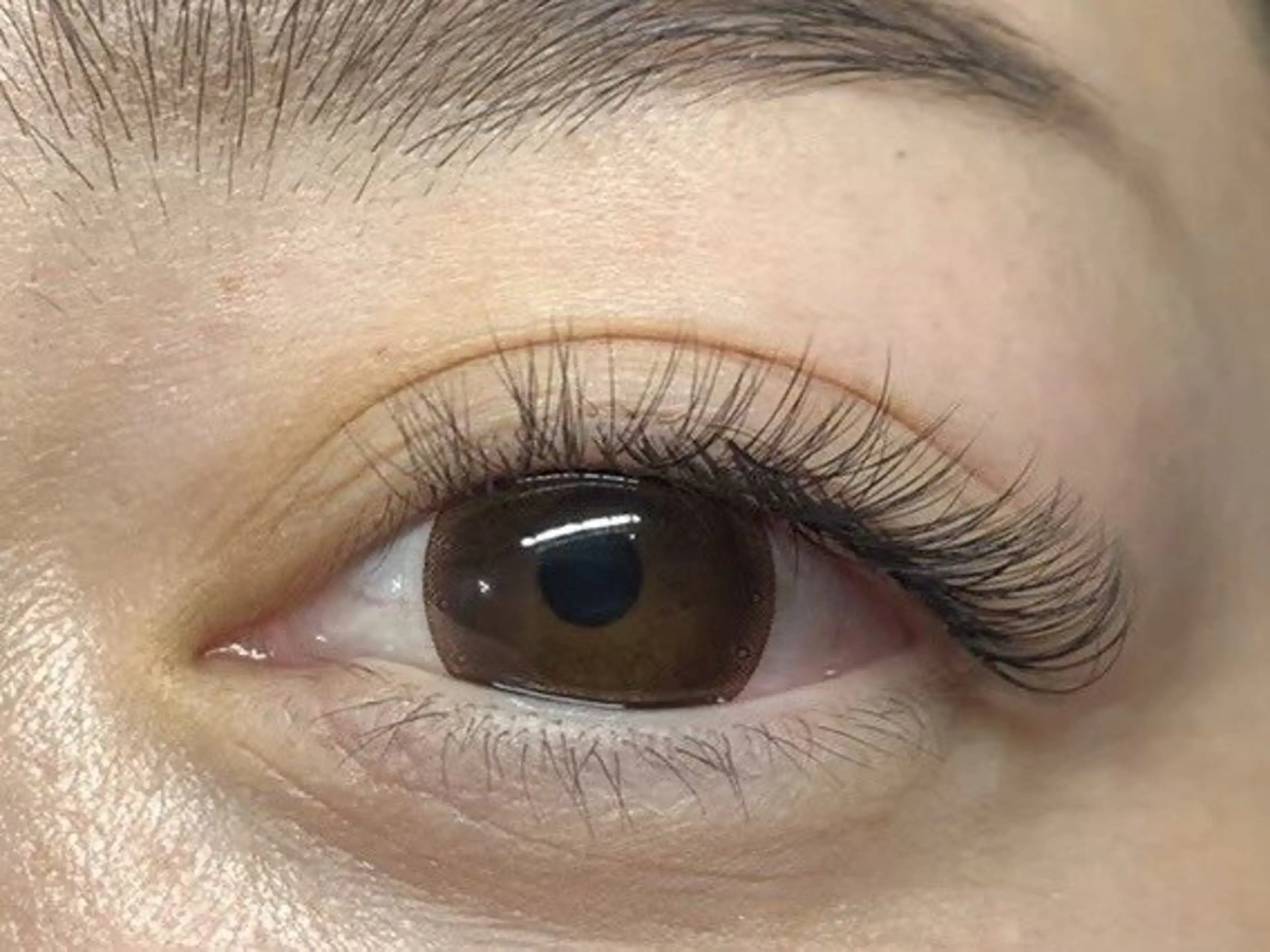 【minimo限定】🐳ボリュームラッシュ100束の写真