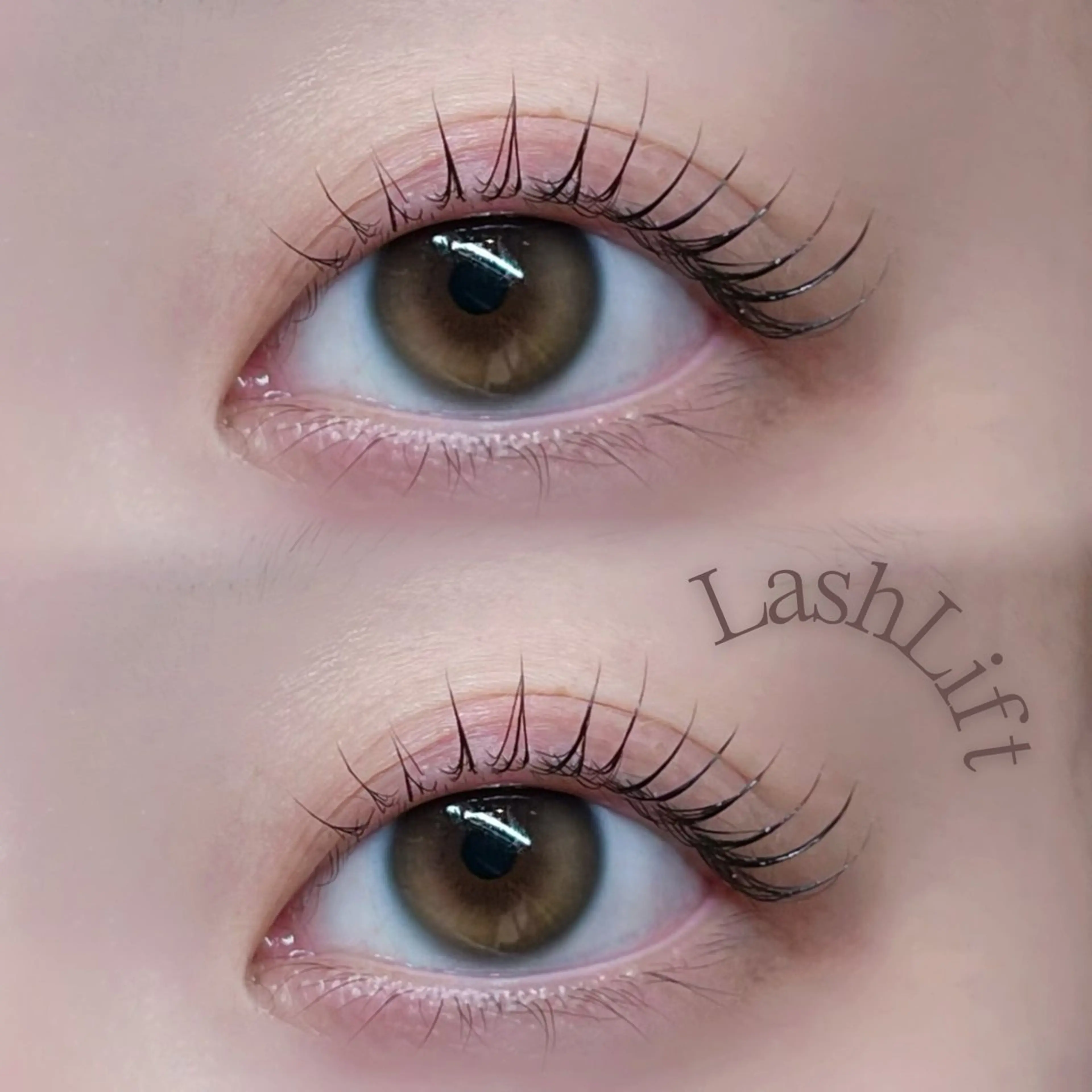 マツエク・マツパ マツパ MADRAS aikaのマツエク・マツパデザイン