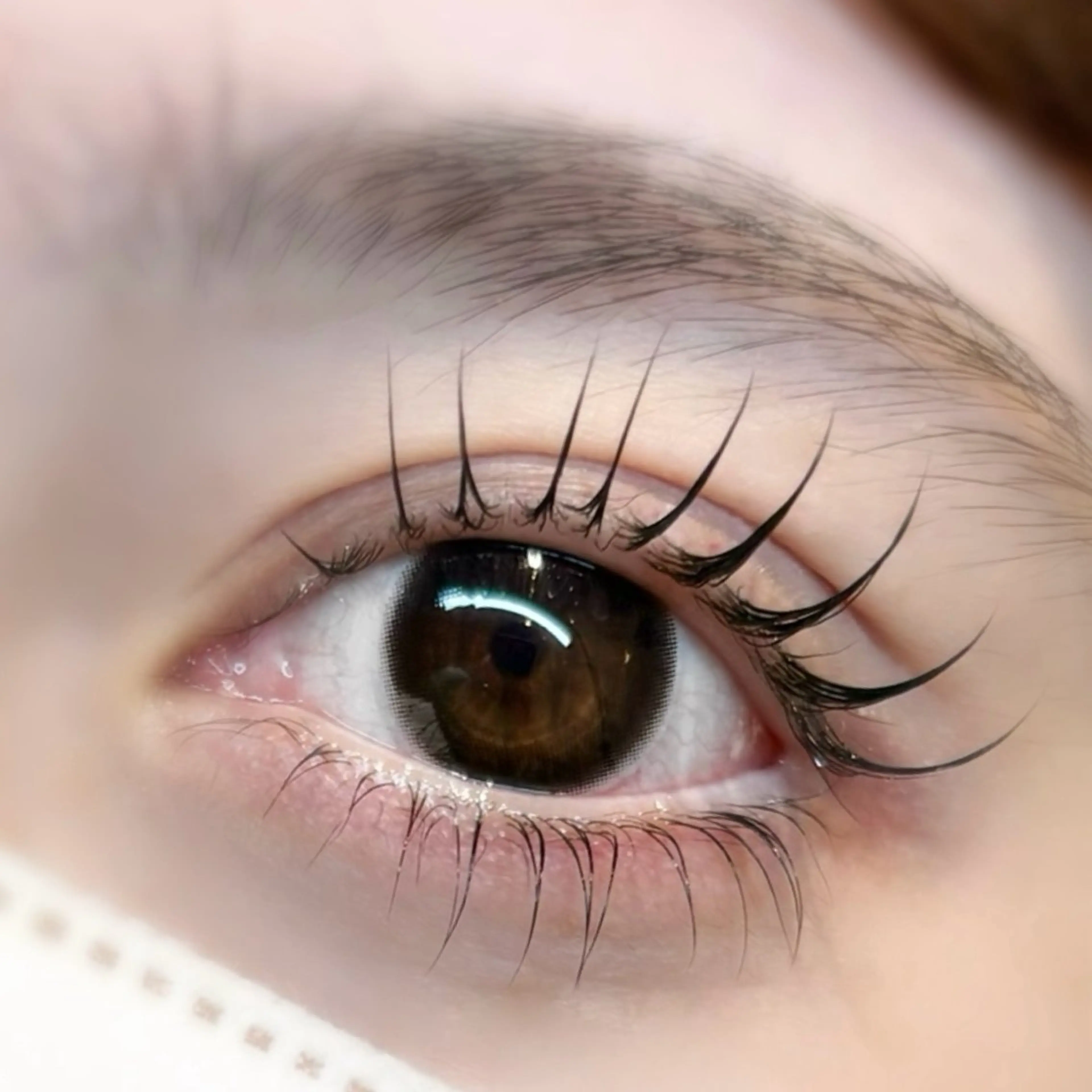 《次世代ダメージレスまつ毛パーマ》上下の写真