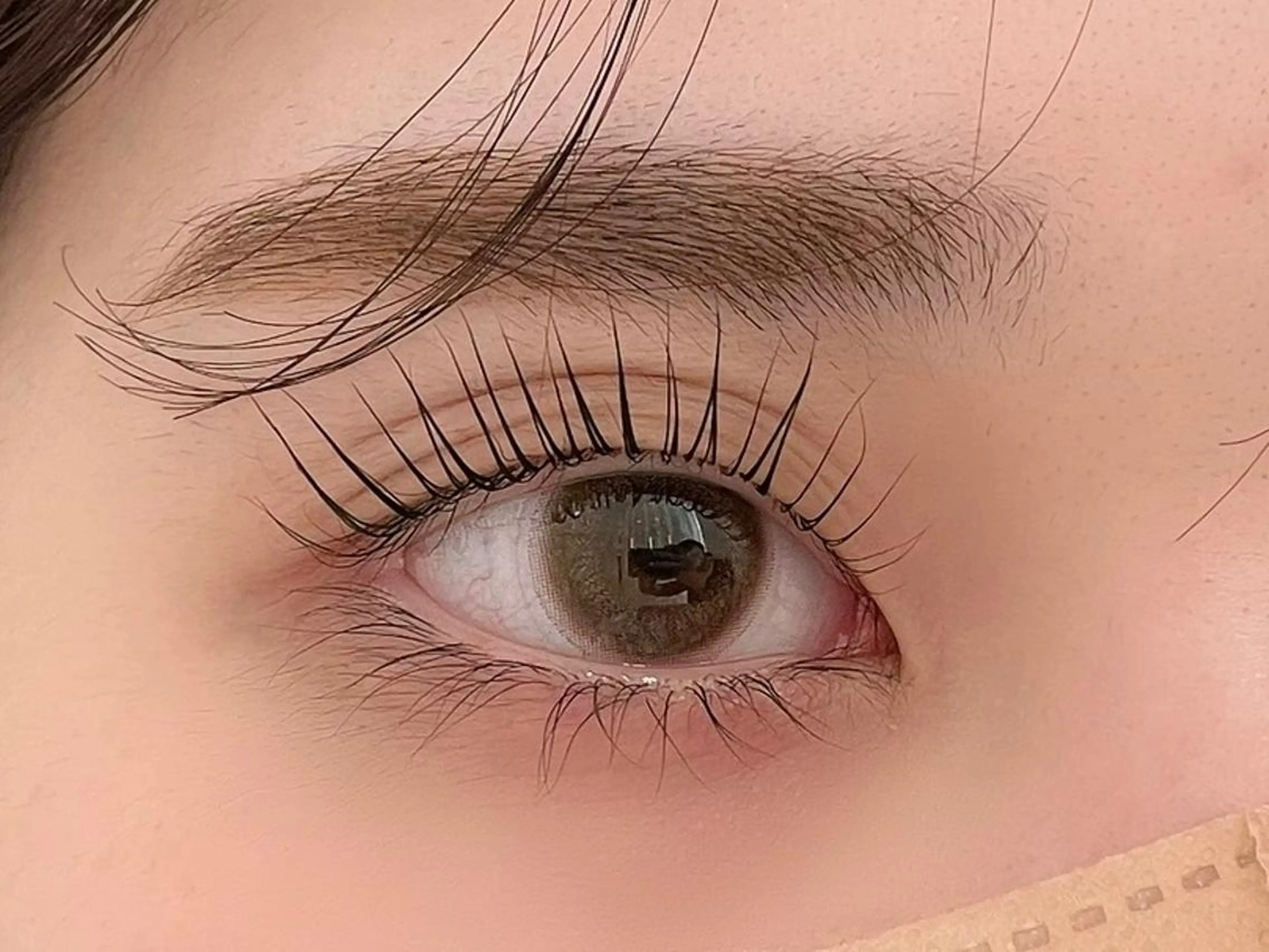 マツエク・マツパ フラットラッシュ/ LEDマツエク/石原のマツエク・マツパデザイン