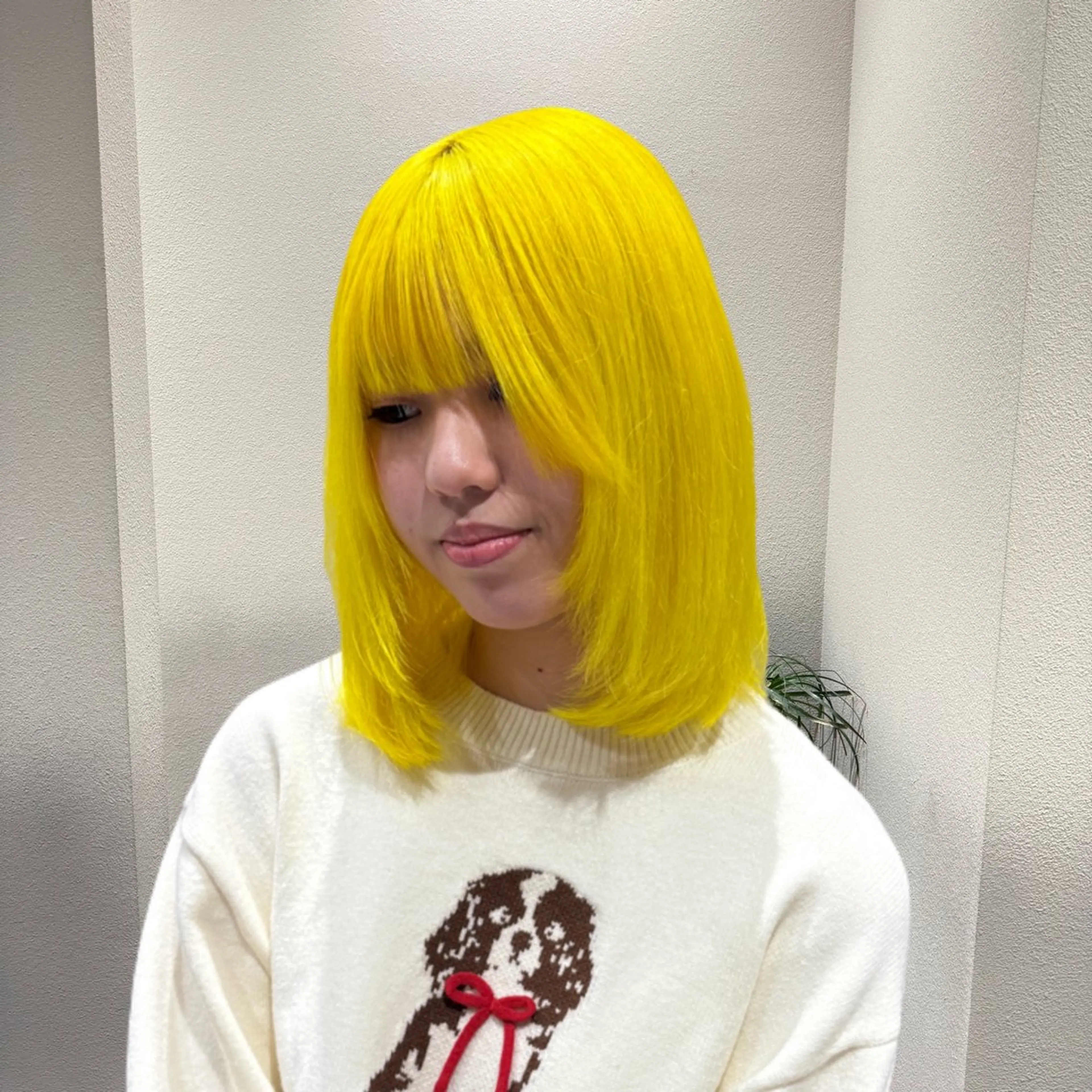ミディアム カラー ブリーチ ケアブリーチ ハイトーンカラー イエローカラー 縮毛矯正 ヘアカラー トリートメント ヘアセット ✨ブリーチ支持No1 複雑履歴修正/舘岡のヘアスタイル