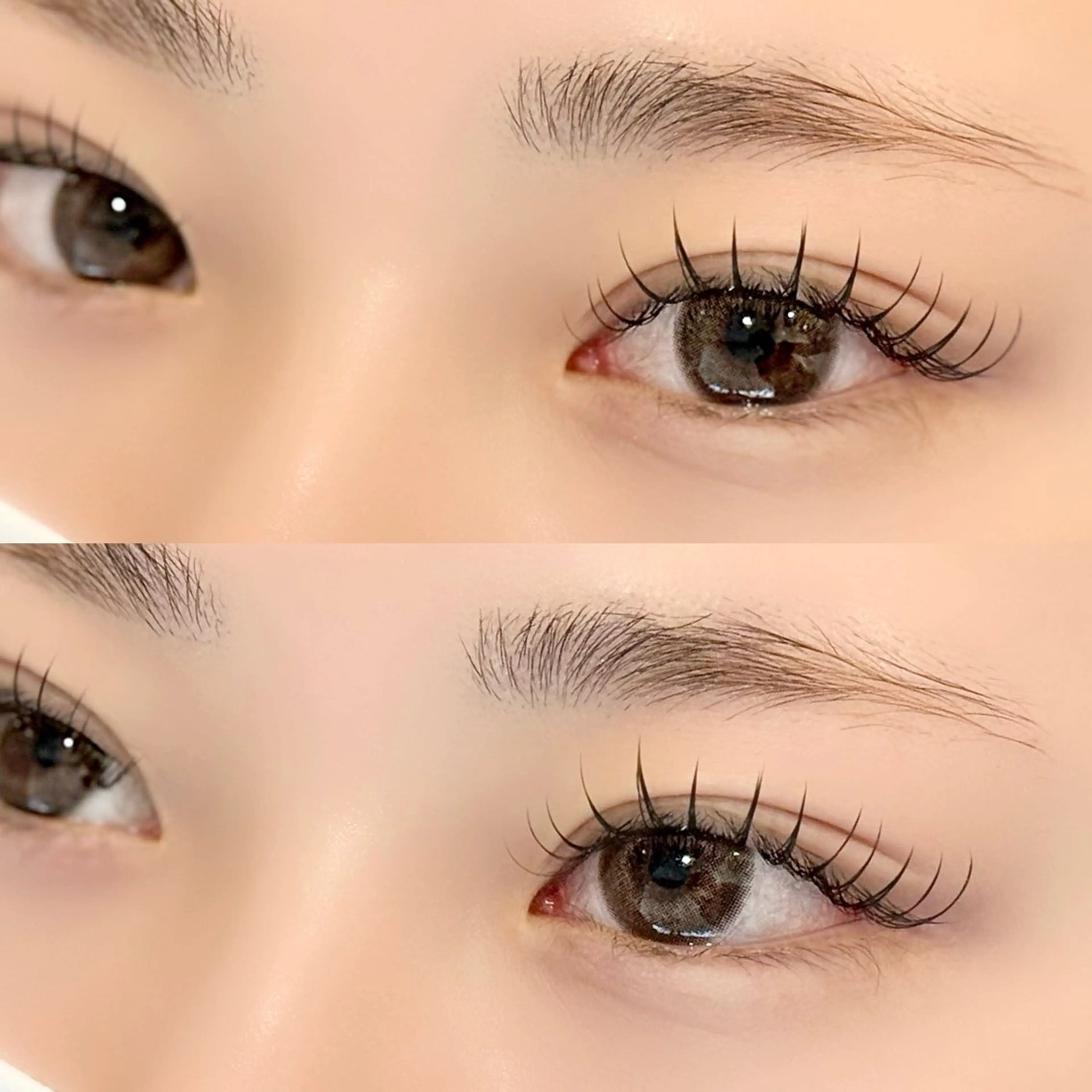 マツエク・マツパ MAKEA柏店🧸 honokaのマツエク・マツパデザイン