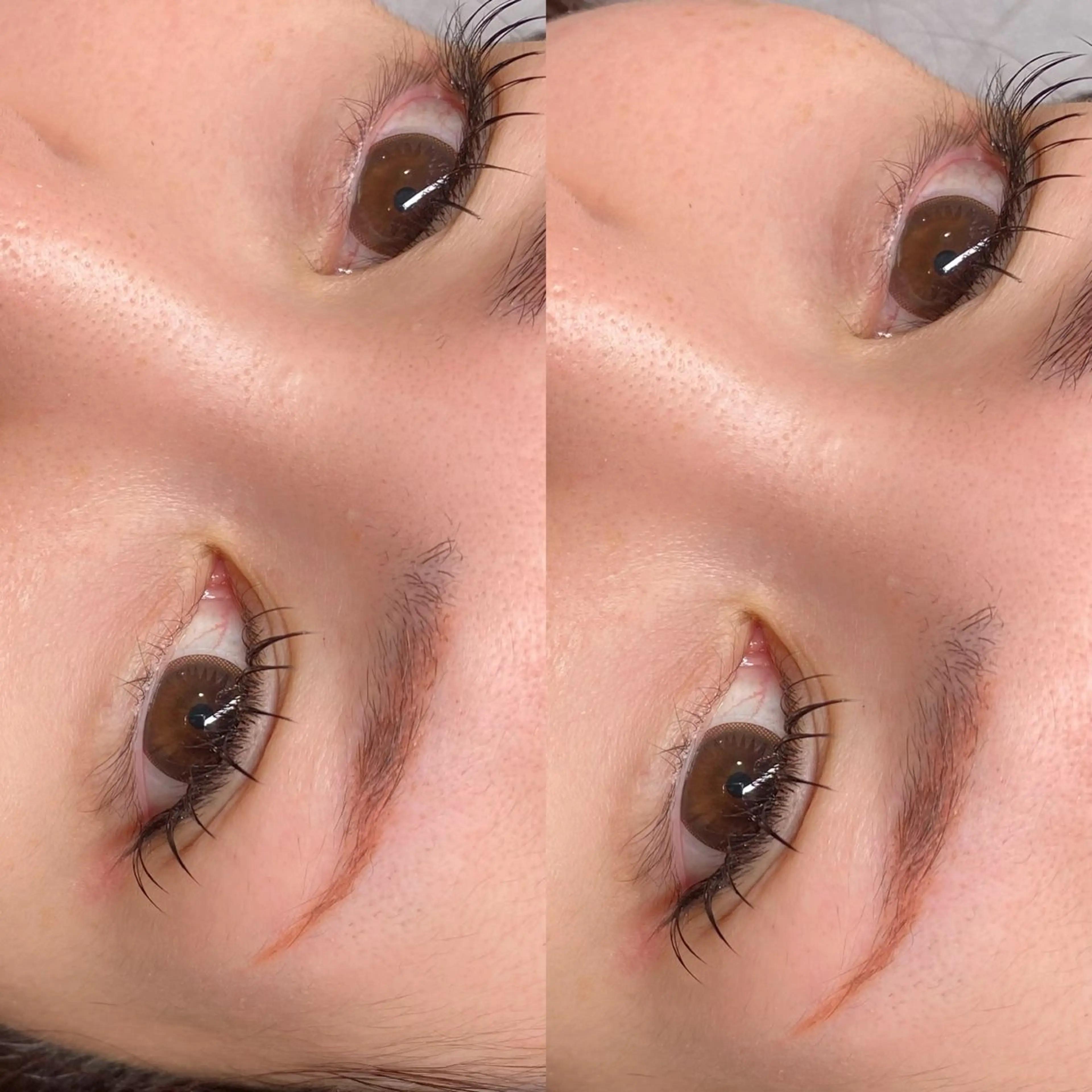 マツエク・マツパ マツエク MAKOTO🌹 Amaranth金山のマツエク・マツパデザイン