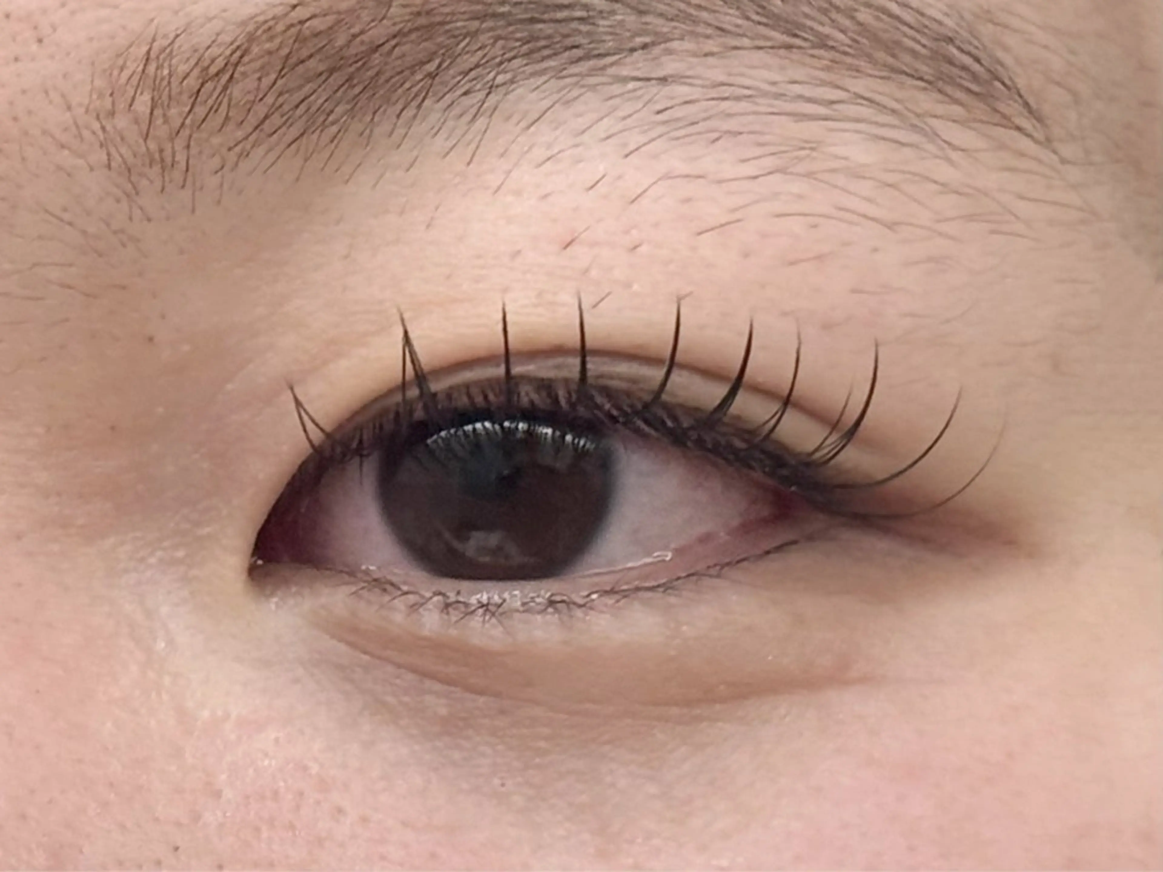 マツエク・マツパ Cカール Dカール フラットラッシュ 目尻長め まつパ/まつエク /横浜　🤍木村🤍のマツエク・マツパデザイン