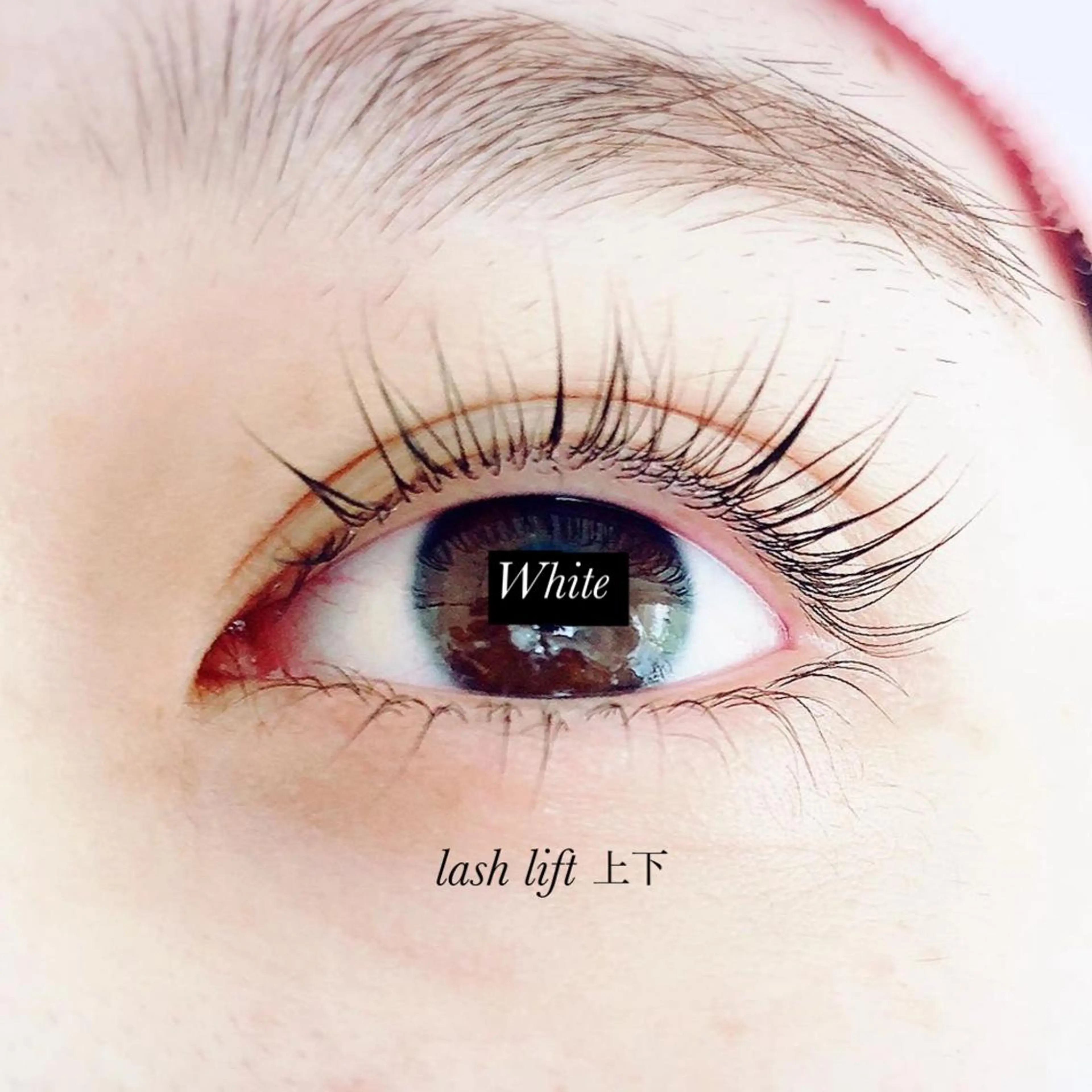 マツエク・マツパ マツパ White/マツエク /まつパ/耳つぼのマツエク・マツパデザイン