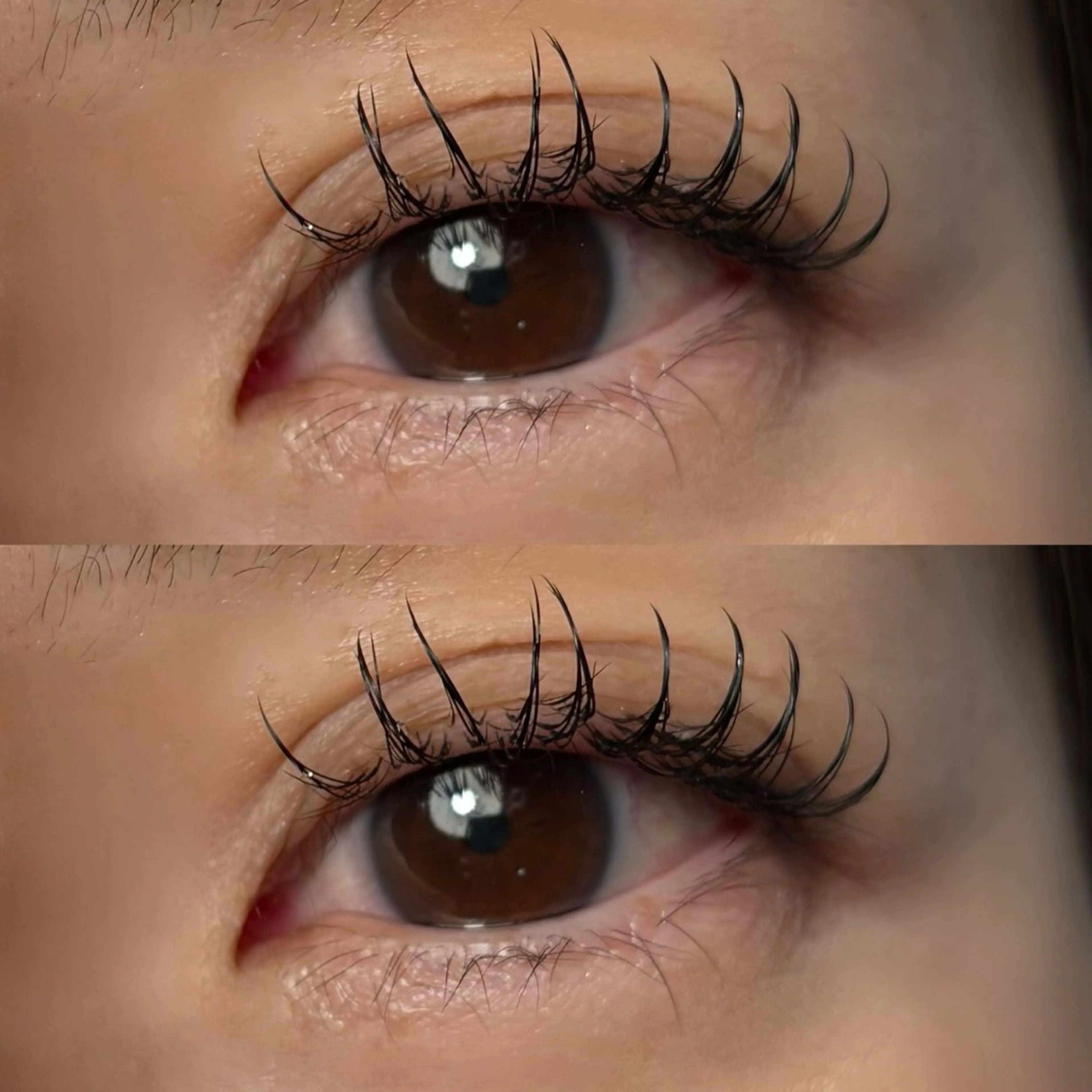 マツエク・マツパ フラットラッシュ 🍇chinatsu 🍇en Rêveのマツエク・マツパデザイン