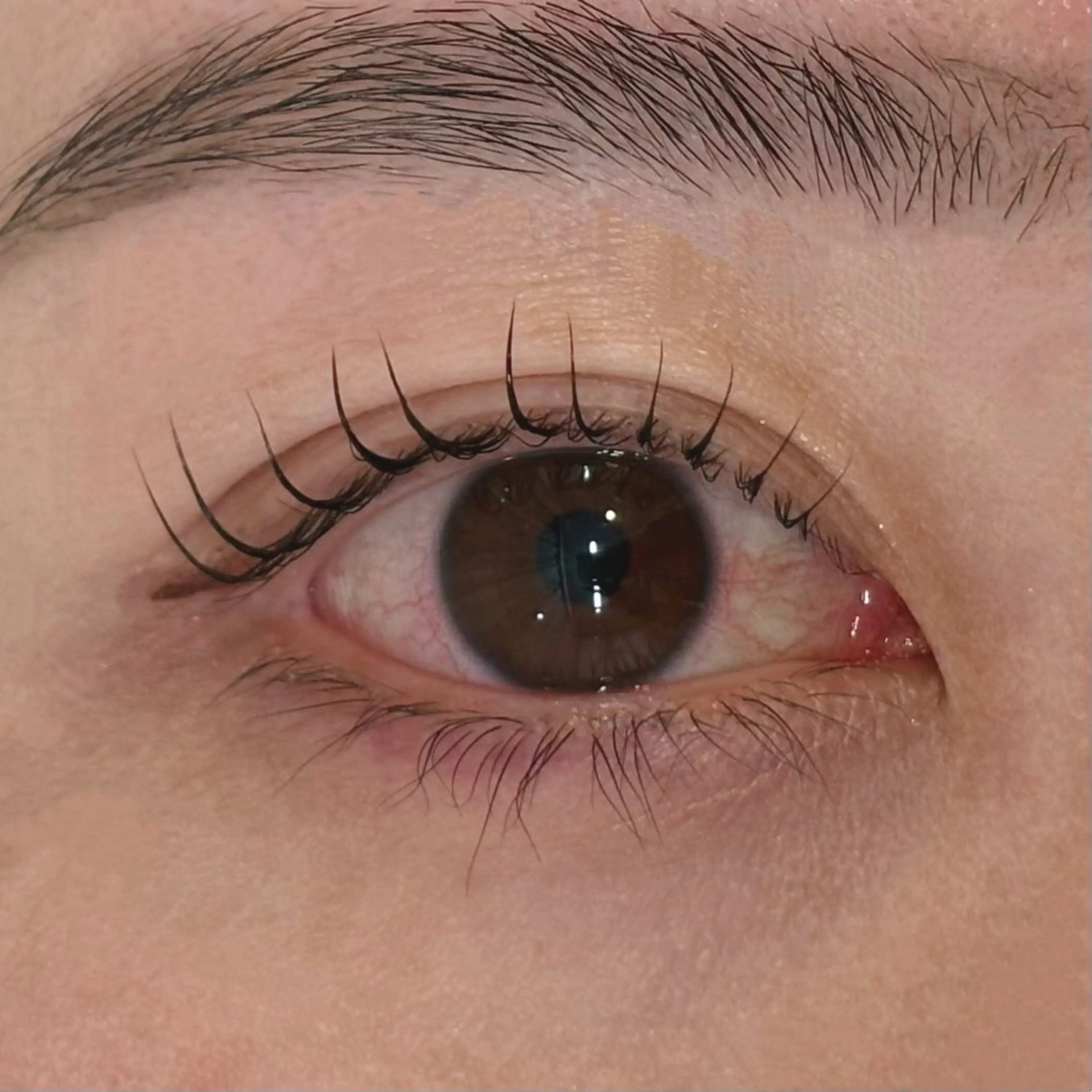 マツエク・マツパ マツパ MASAMI / 四条烏丸店のマツエク・マツパデザイン