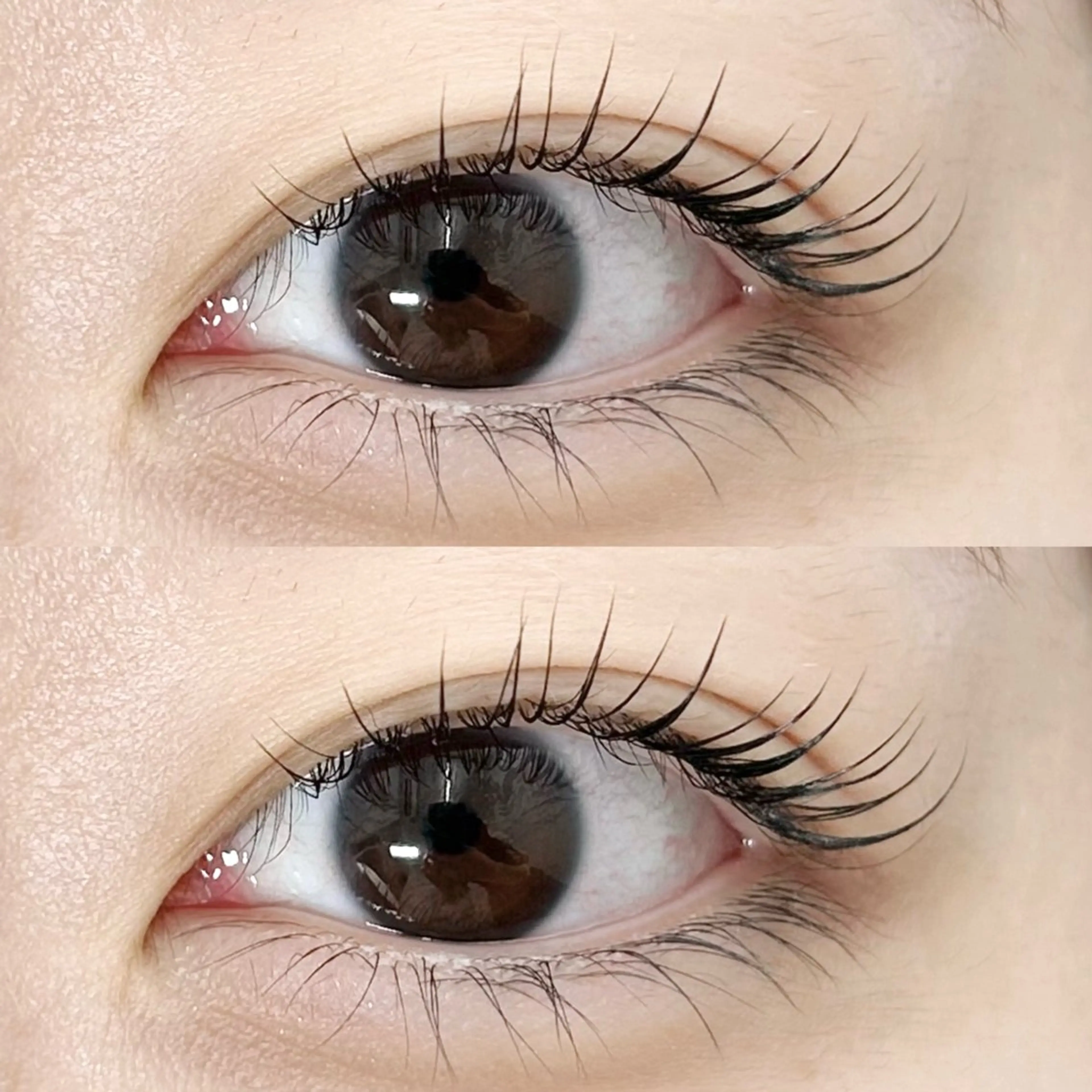 【ご新規様限定🎀】韓国風束感まつげパーマ＋アイシャンプーの写真