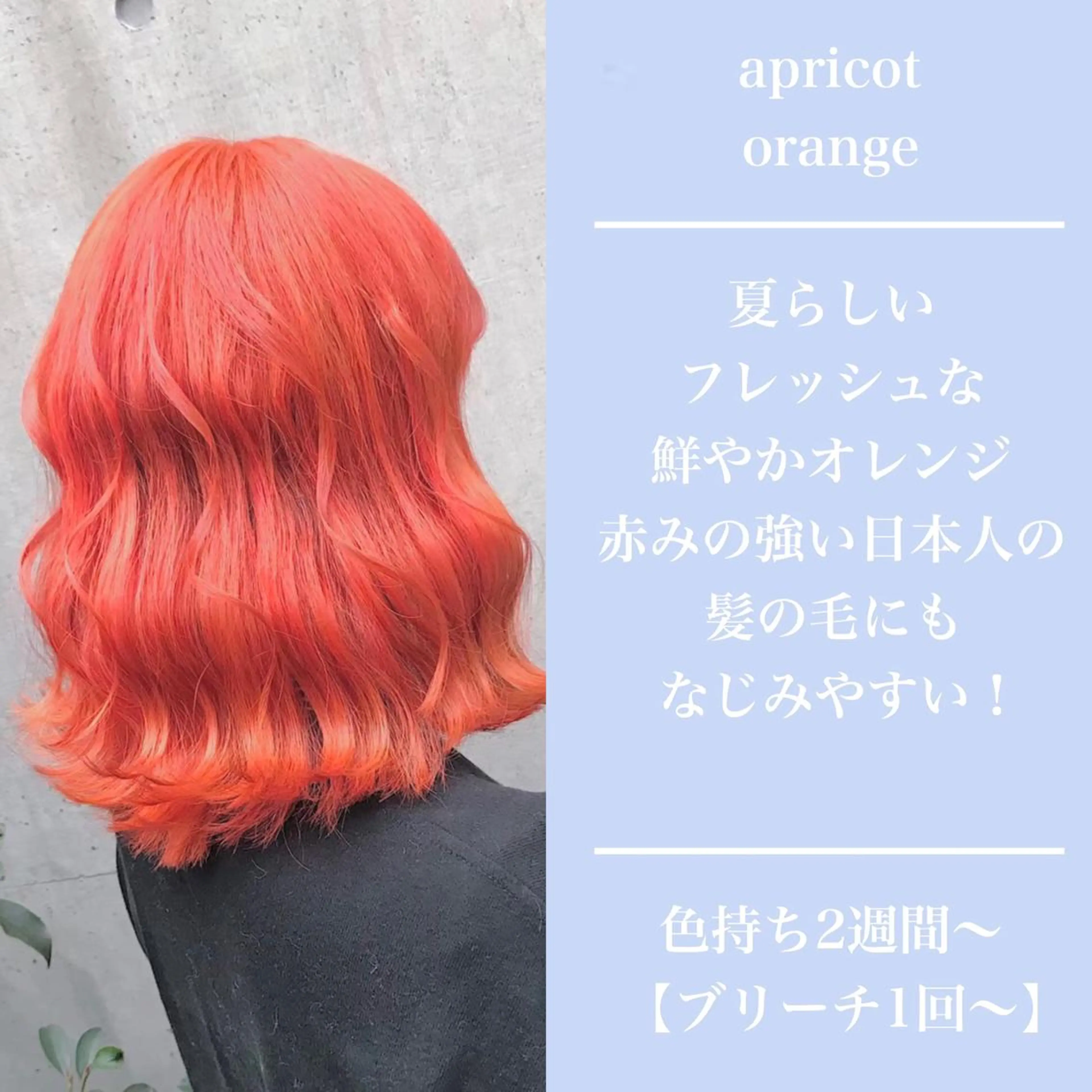 ミディアム カラー ヘアアレンジ アッシュ アッシュグレー ベージュカラー 黒髪 ブリーチ 💕ブリーチ/ヘアメ 🎀YUUKAのヘアスタイル