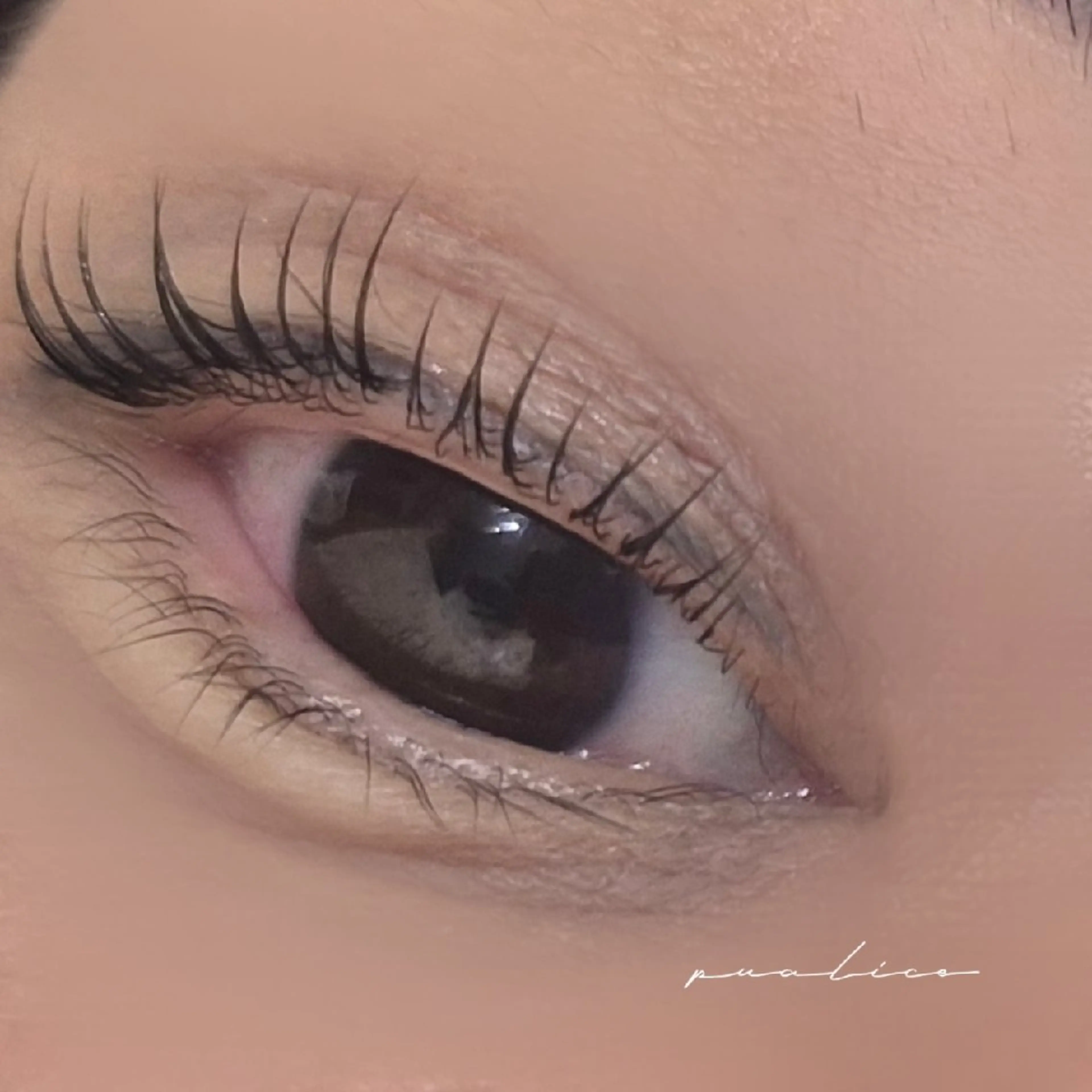 マツエク・マツパ Pualice  木本のマツエク・マツパデザイン