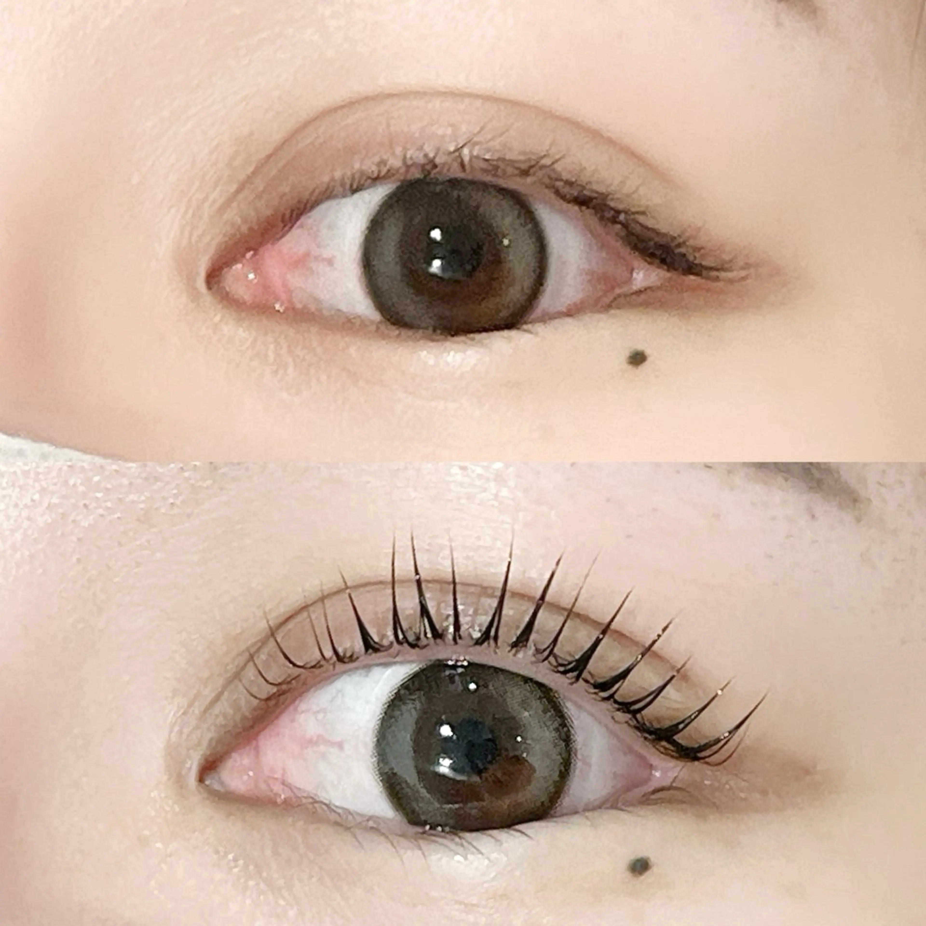 マツエク・マツパ パリジェンヌラッシュリフト Serina新宿南口 佐藤のマツエク・マツパデザイン