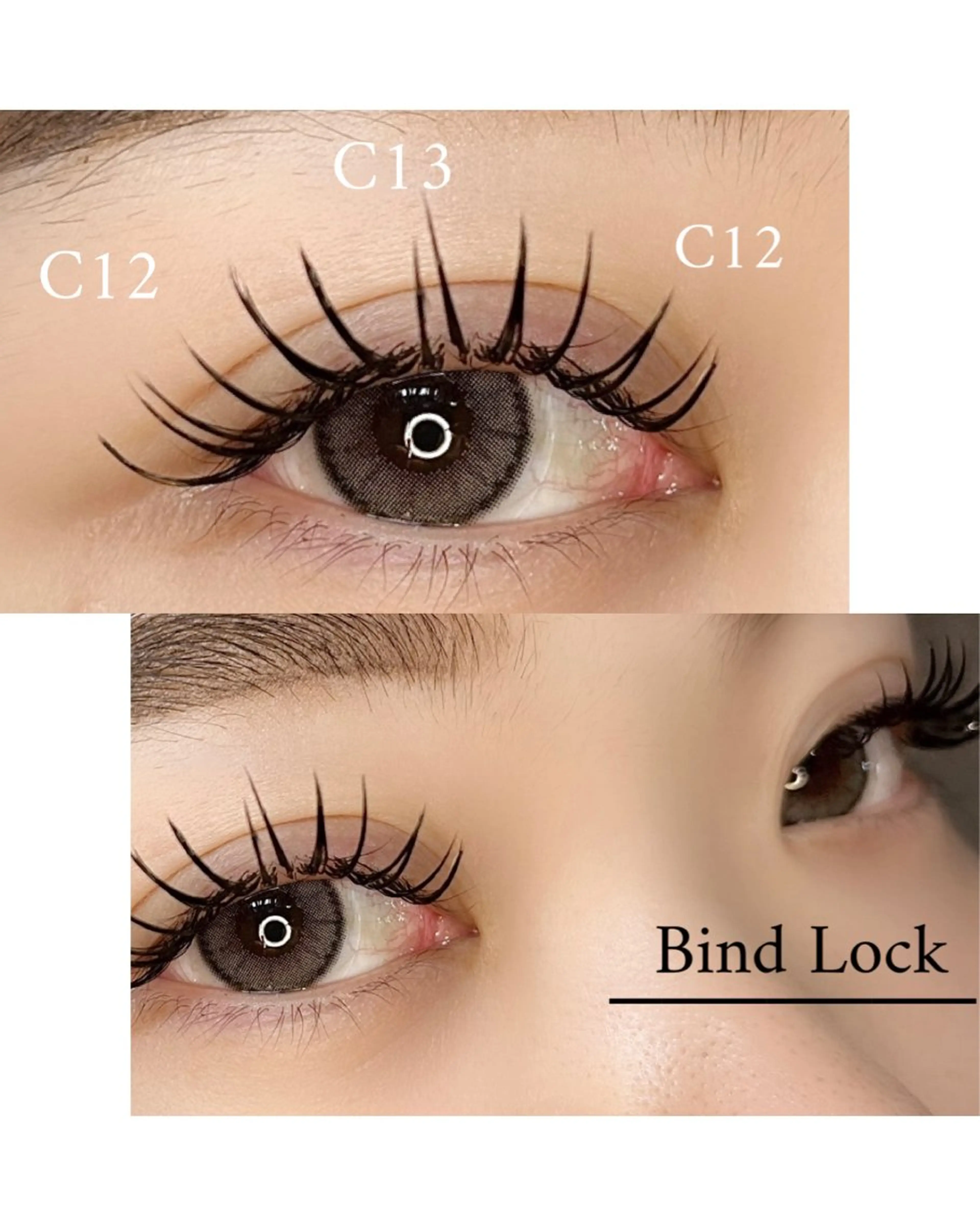 ãâ ïžãªããªãâ ïžããã€ã³ãããã¯120æðâã¢ã€ã·ã£ã³ããŒð«§ã®åç