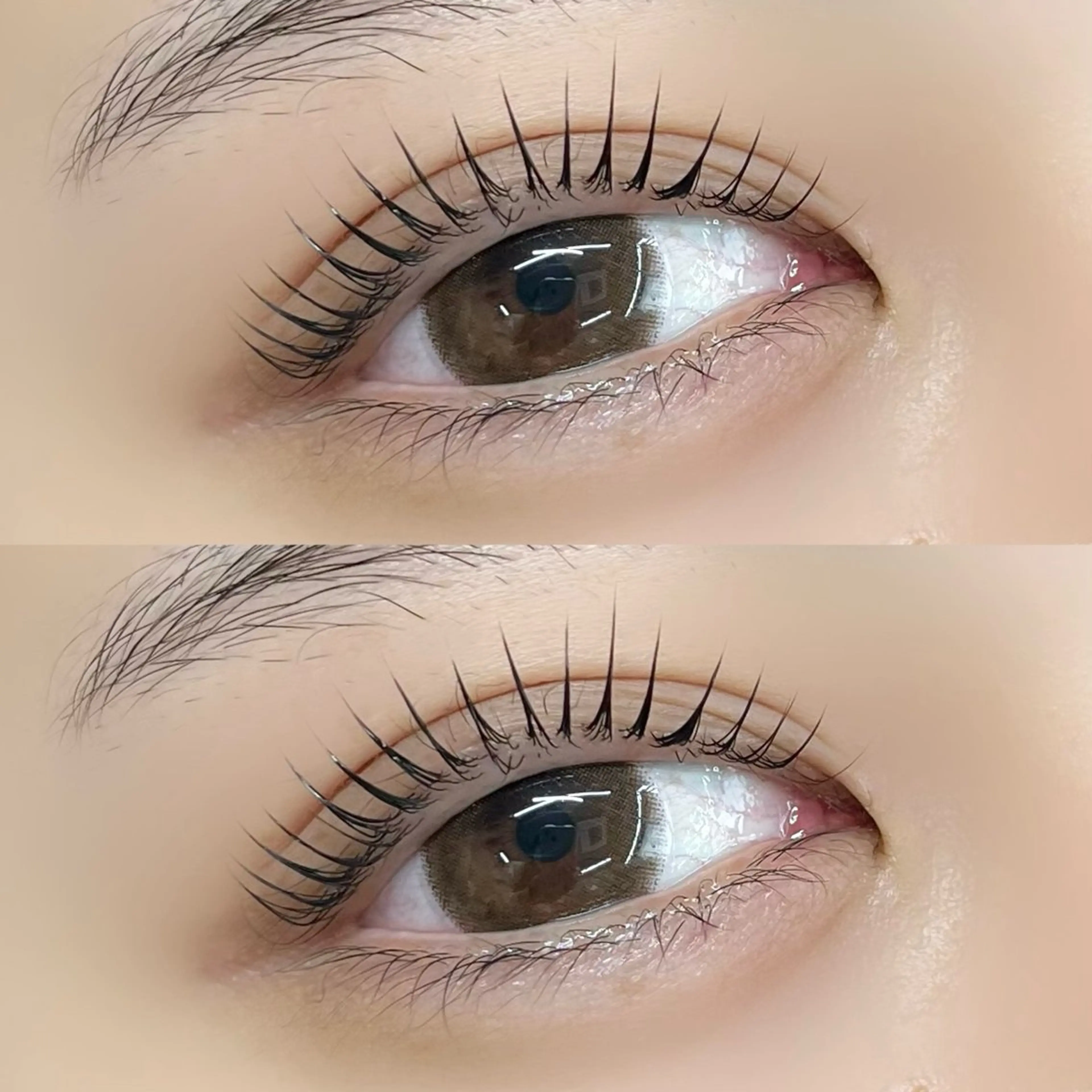 マツエク・マツパ マツパ 【LILY】伊沢/ バインド/パリ/エクのマツエク・マツパデザイン