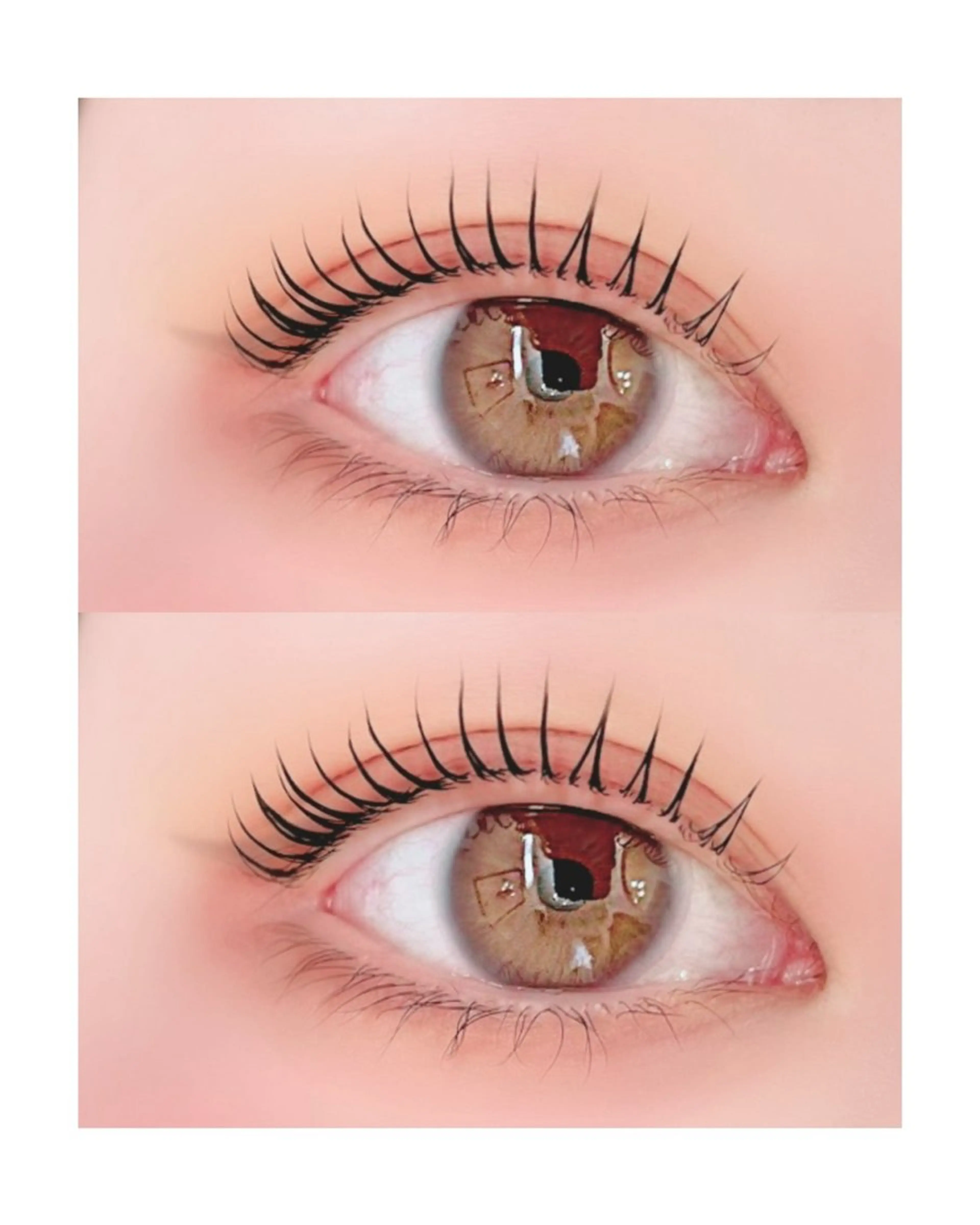 🎀ご新規様限定🎀まつ毛パーマ(ラッシュリフト)高濃度トリートメント&コーティング仕上げ✨の写真