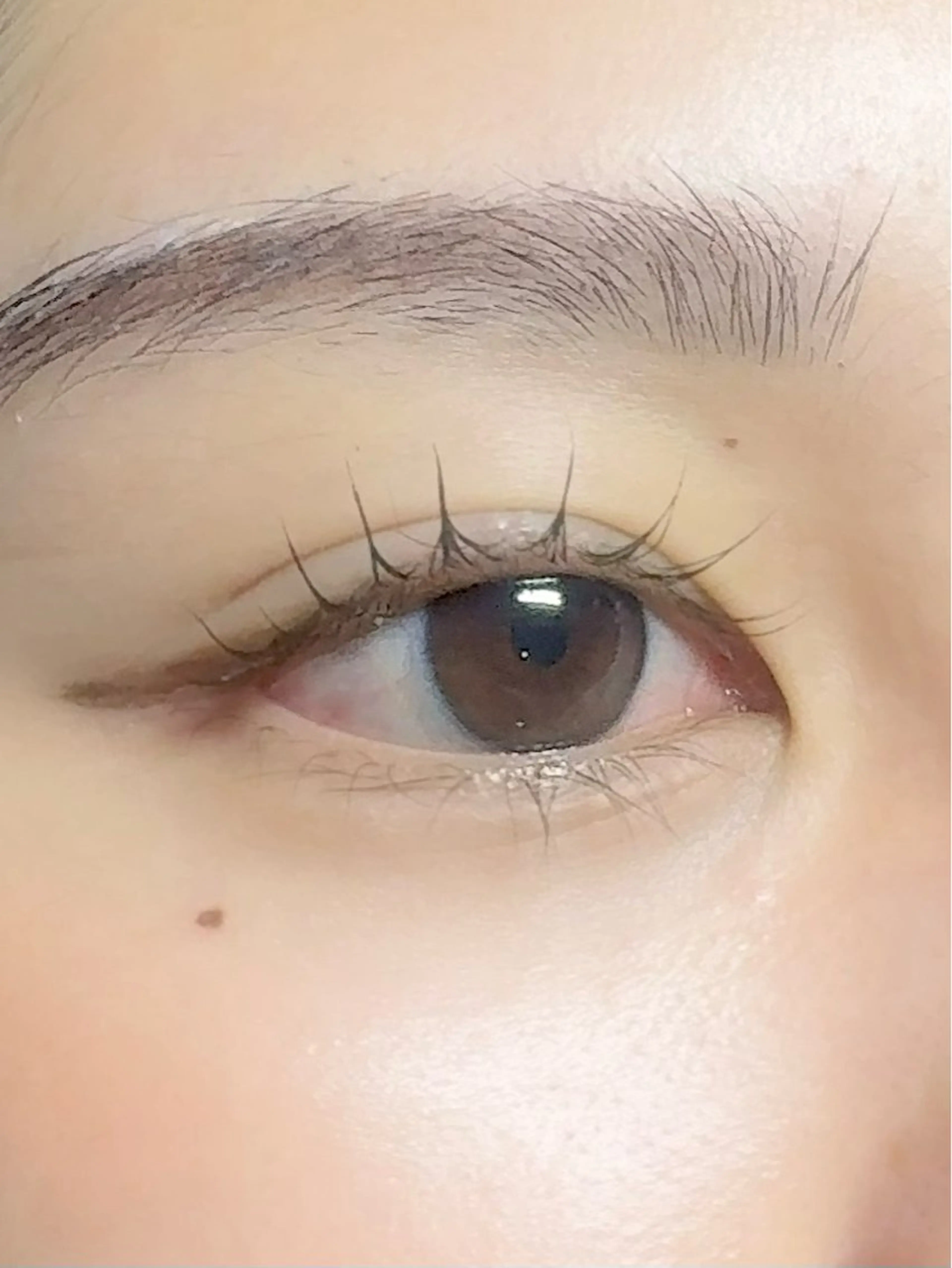マツエク・マツパ マツパ Reline🌼まつ パ専門AN(アン)のマツエク・マツパデザイン