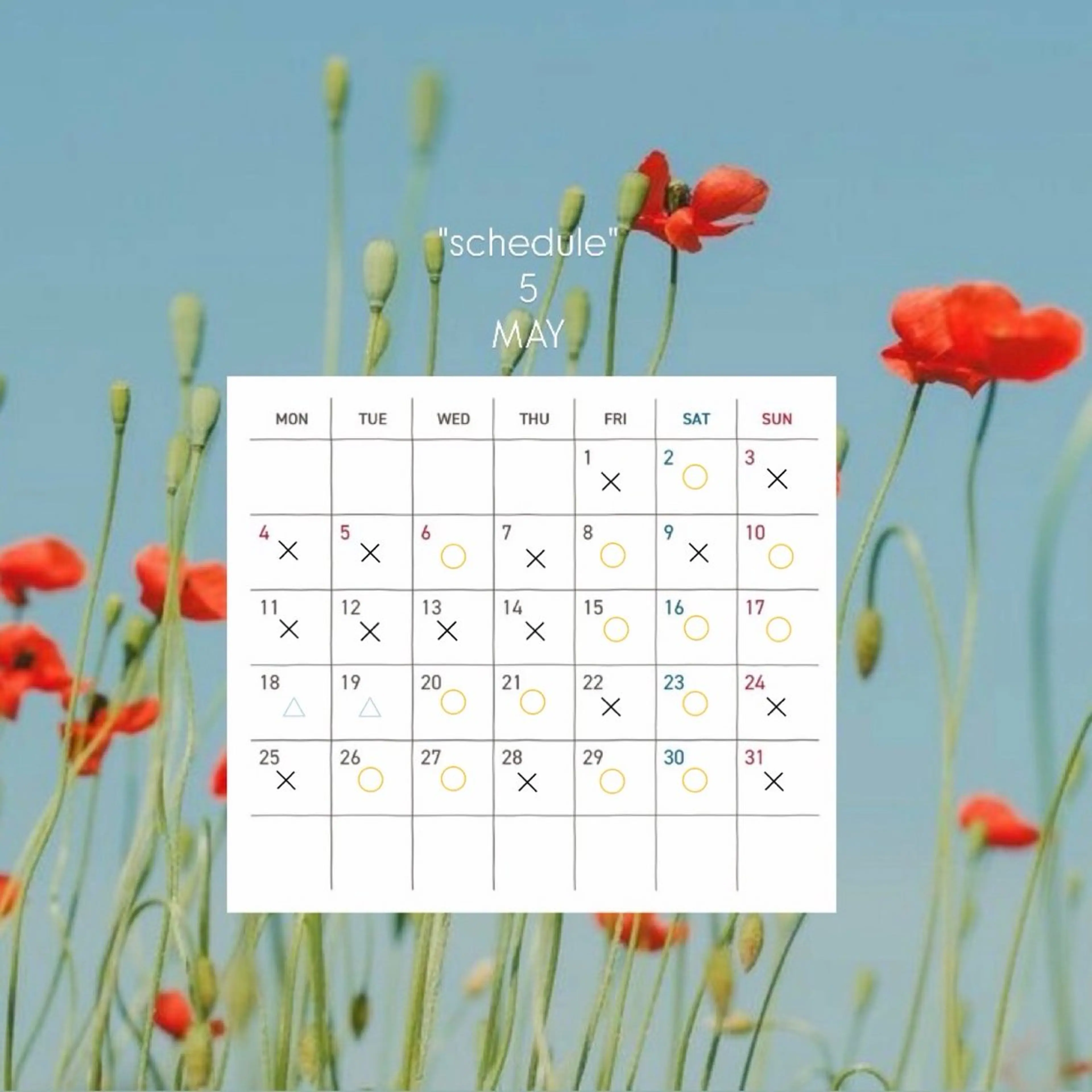 カラーモデル募集中 🫧HONOKAのヘアスタイル