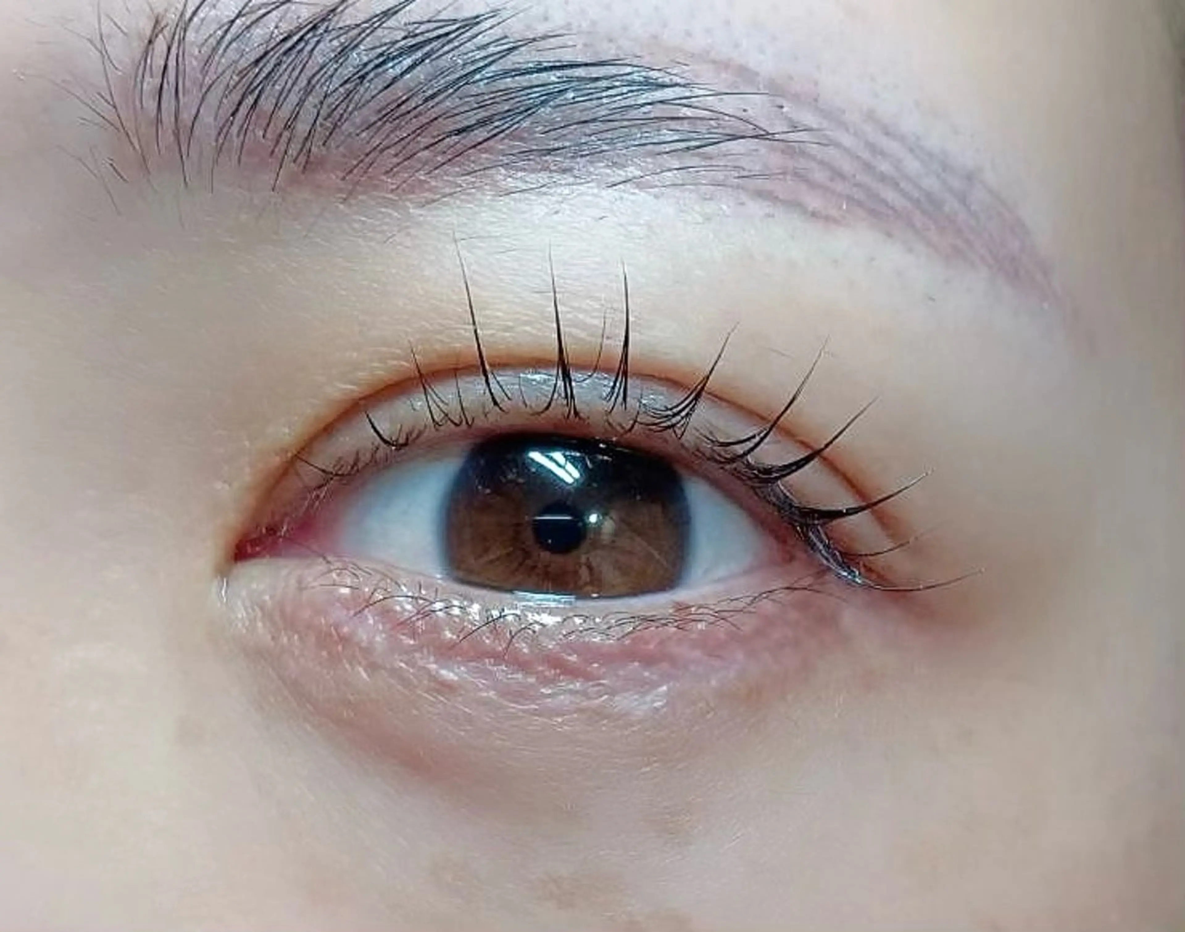 マツエク・マツパ 一重×まつ毛パーマ Franc2 eyelashのマツエク・マツパデザイン