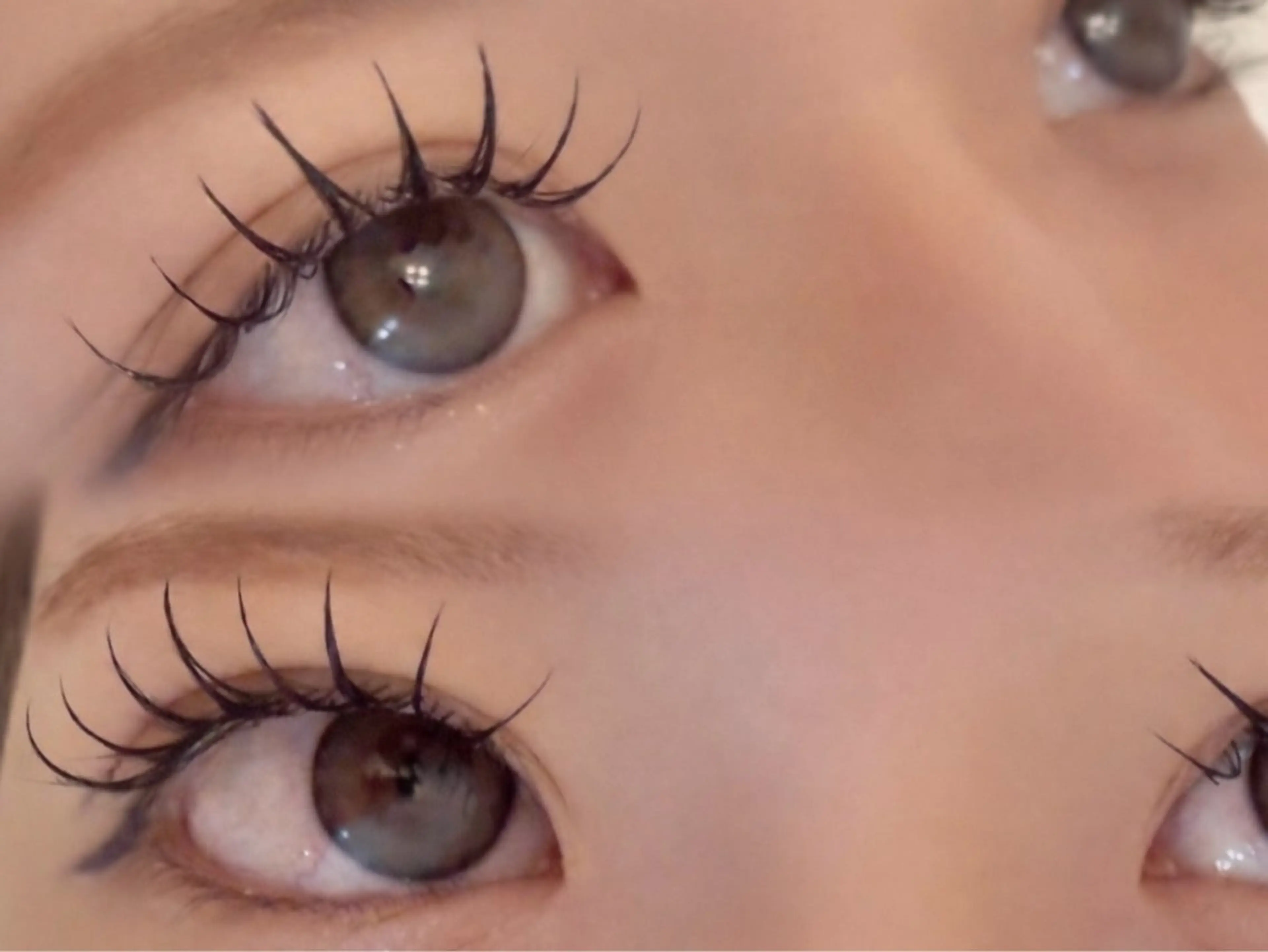 マツエク・マツパ マツエク STELLA ステラのマツエク・マツパデザイン