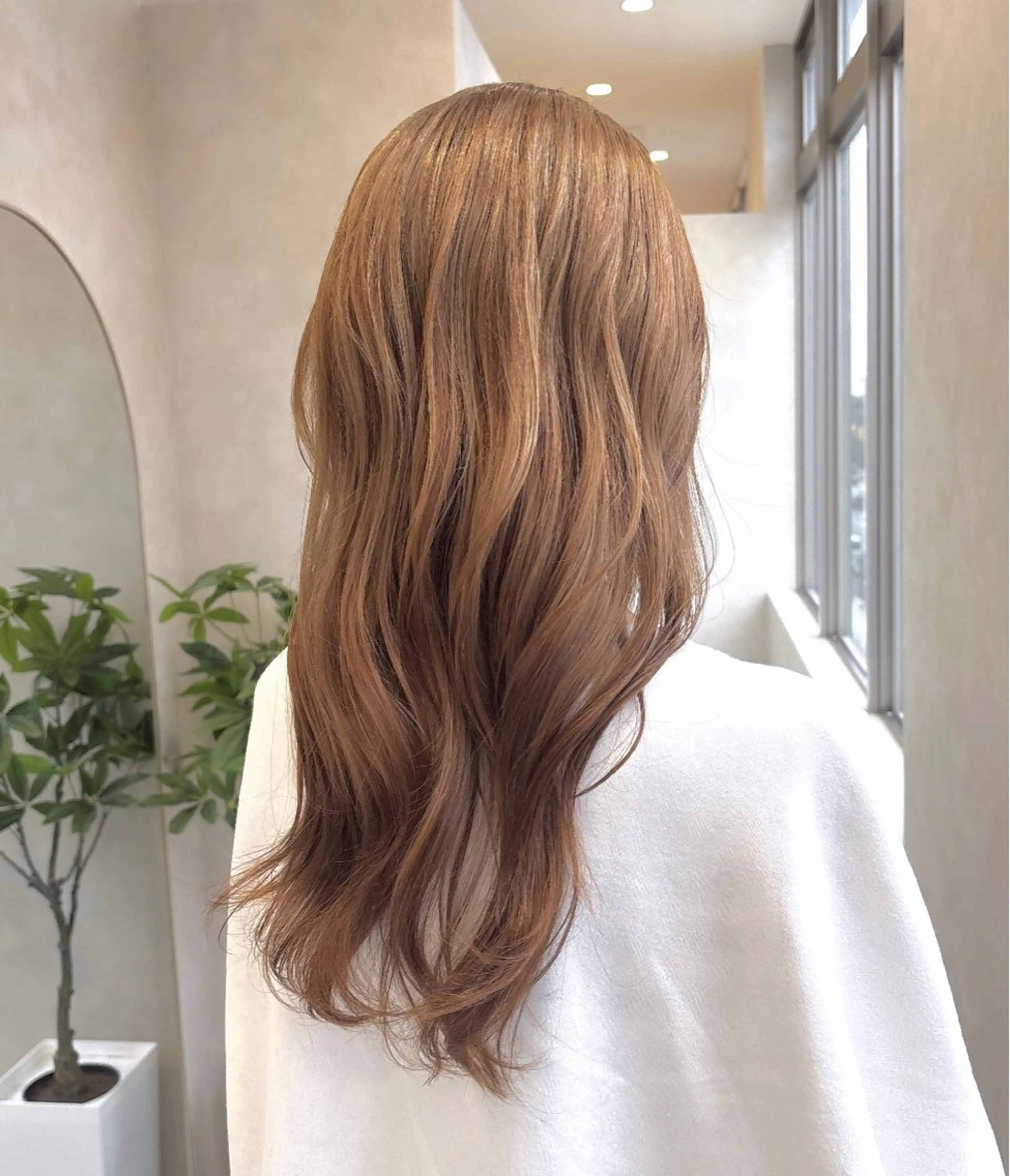 カラー ❤️🐩* AKANE*🐩❤️のヘアスタイル