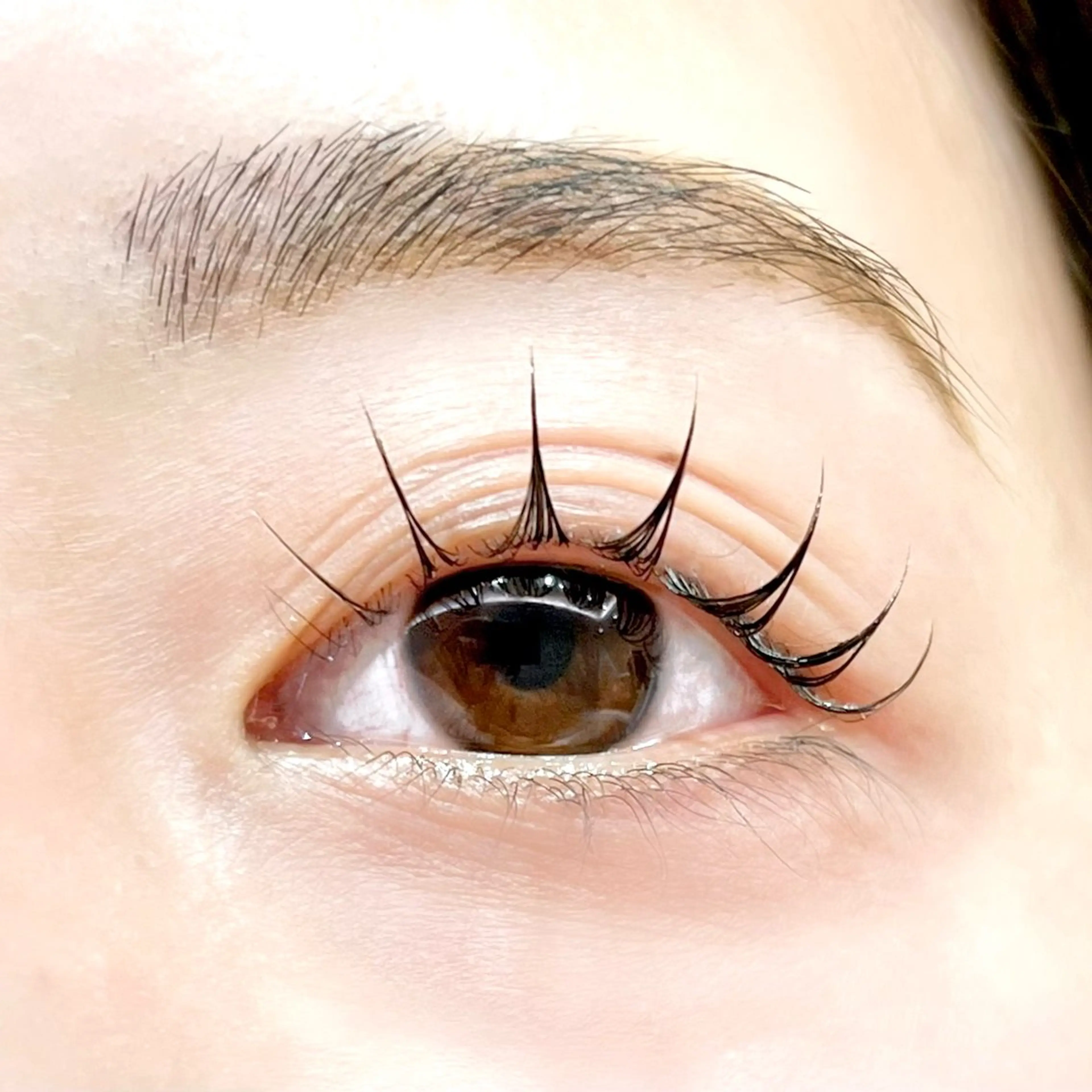 マツエク・マツパ 束感まつ毛 マツパ Fukushi📍 【5/31最終出勤】のマツエク・マツパデザイン