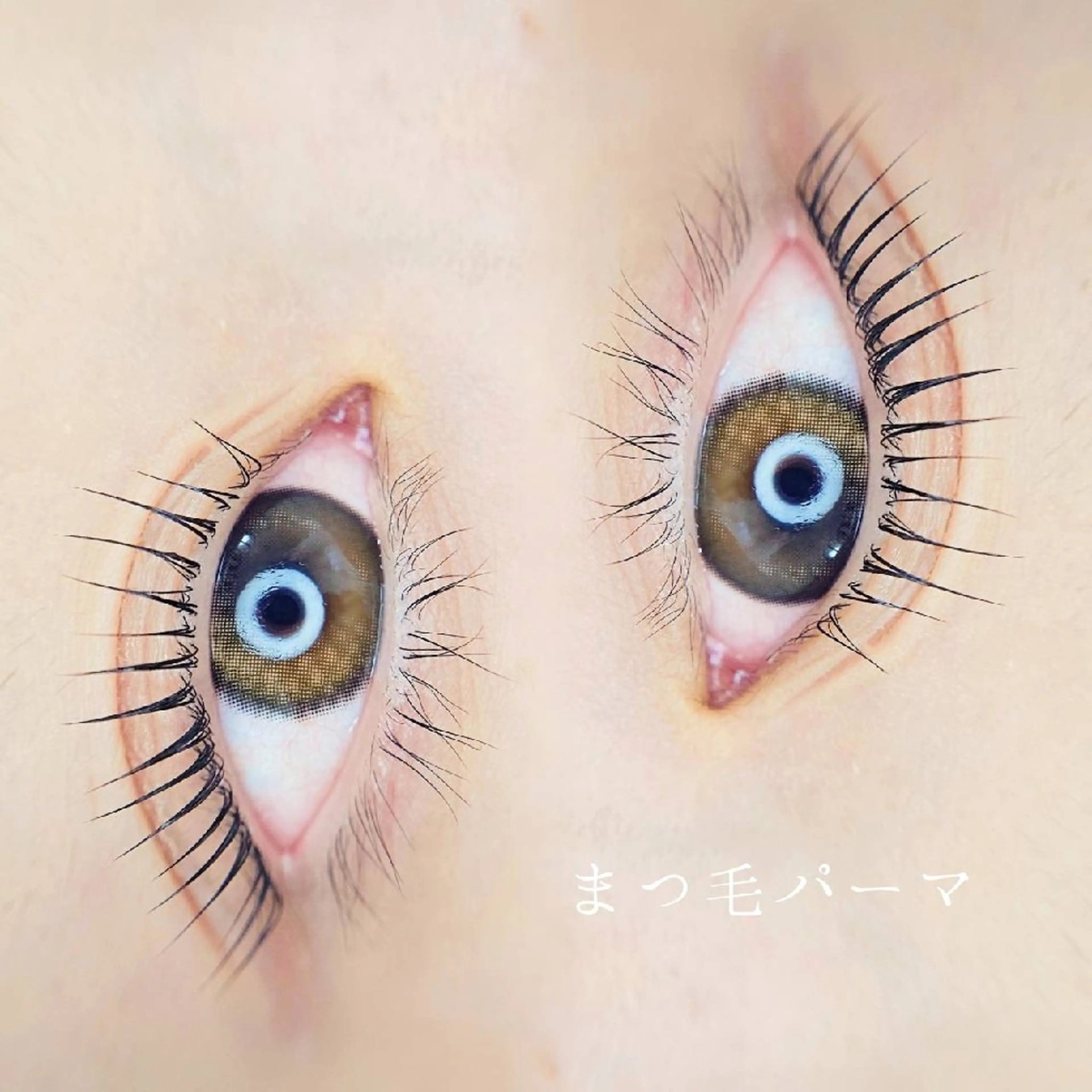 マツエク・マツパ 一重×まつ毛パーマ Cia U. eyelashのマツエク・マツパデザイン