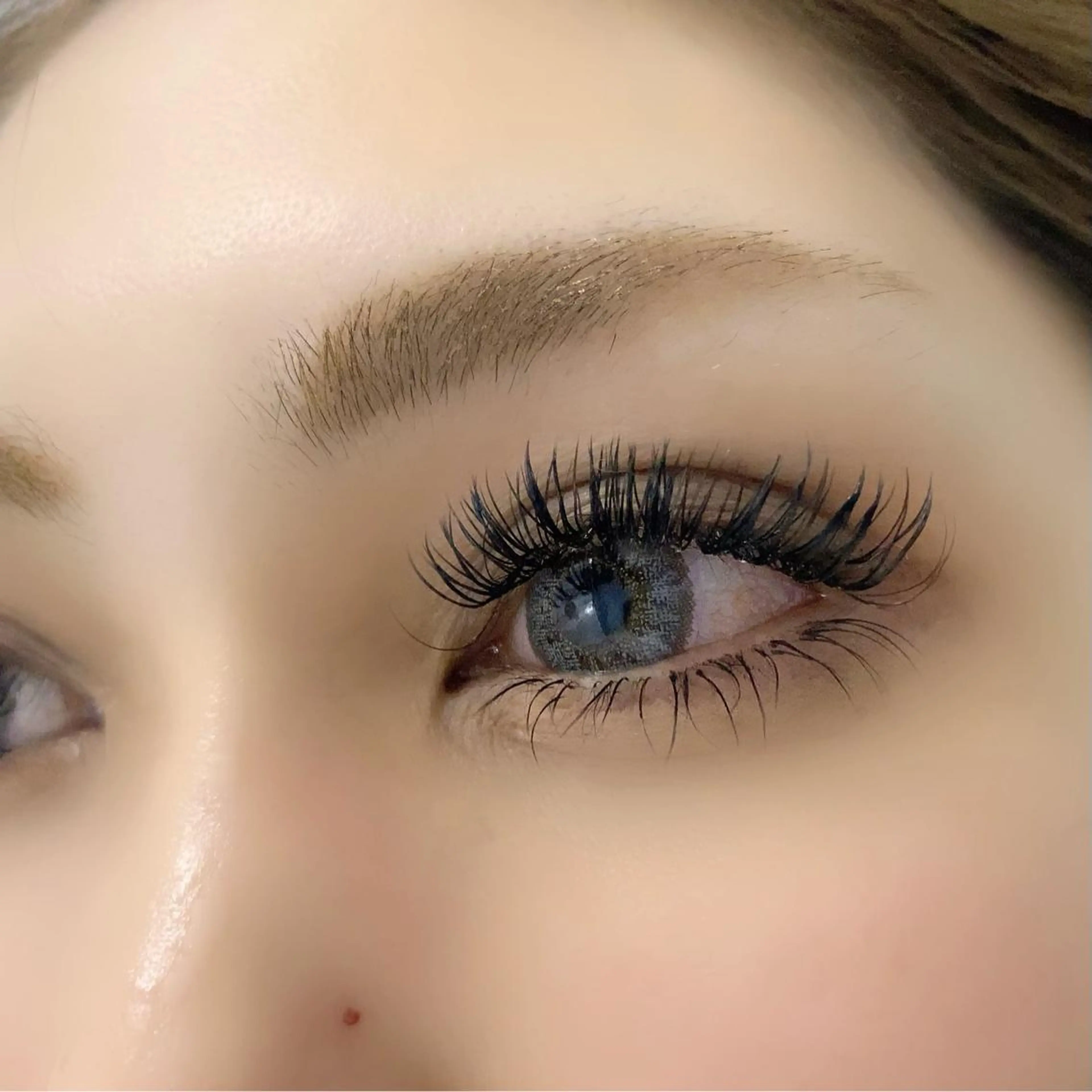 マツエク・マツパ マツエク eyelash Anmut Lunaのマツエク・マツパデザイン