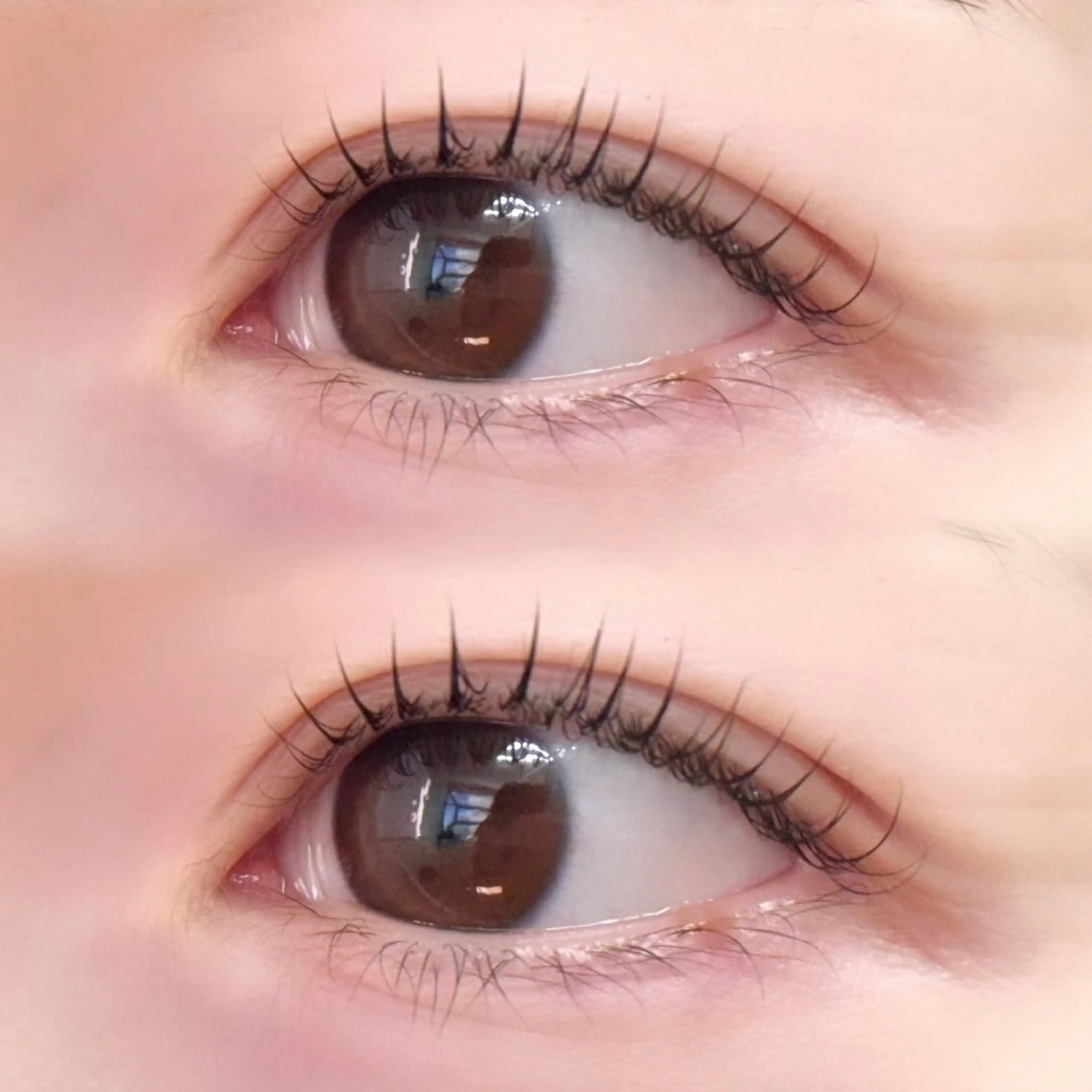 マツエク・マツパ こすが あかり/ ダブルカラー🩷のヘアスタイル