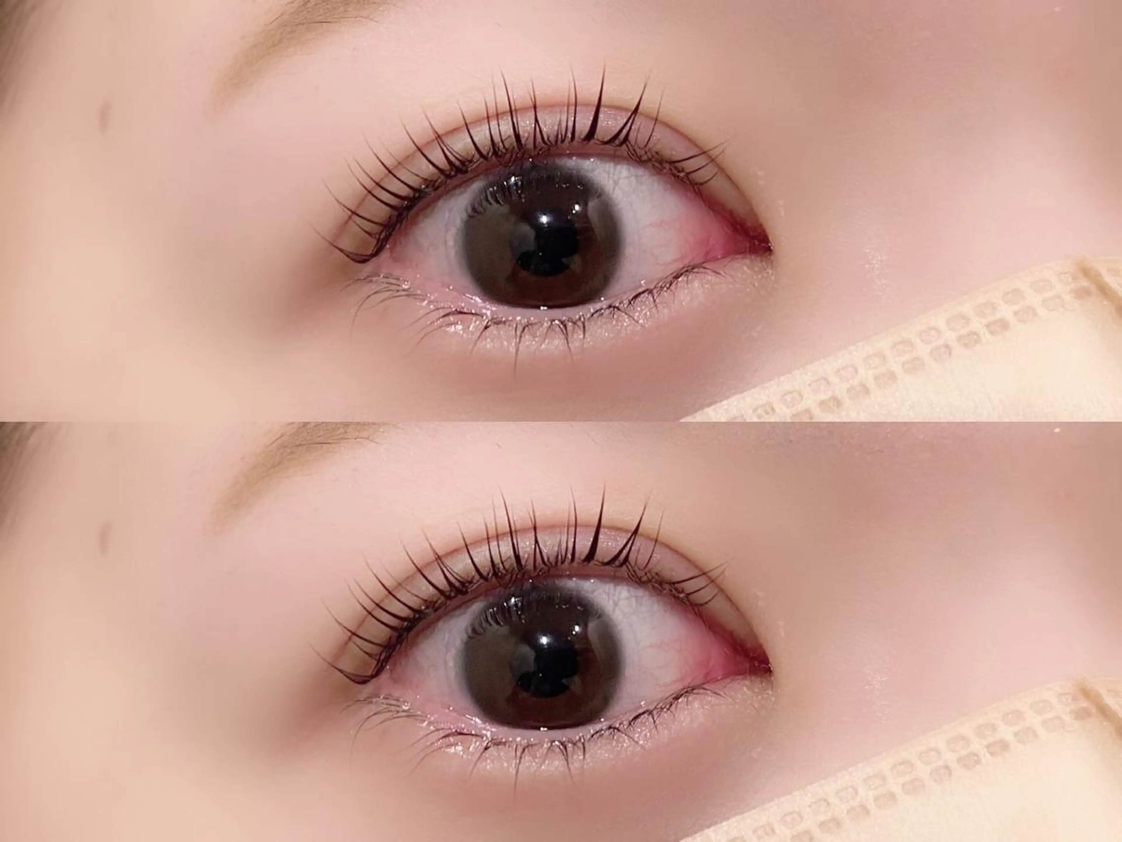 マツエク・マツパ パリジェンヌラッシュリフト Ai Quick 北千住🌿saitoの眉毛・アイブロウイメージ