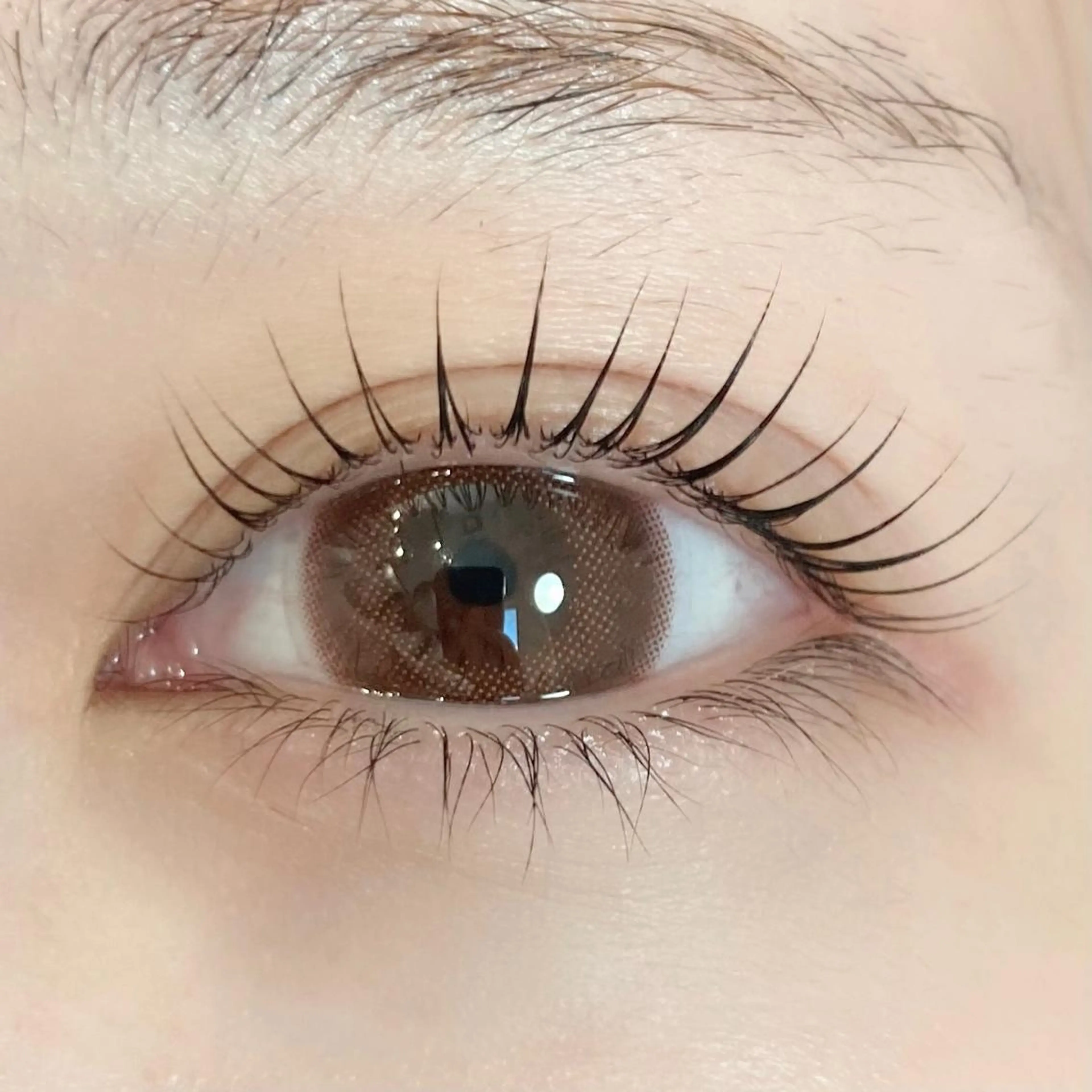 ラッシュリフト(コーティング仕上げ)の写真