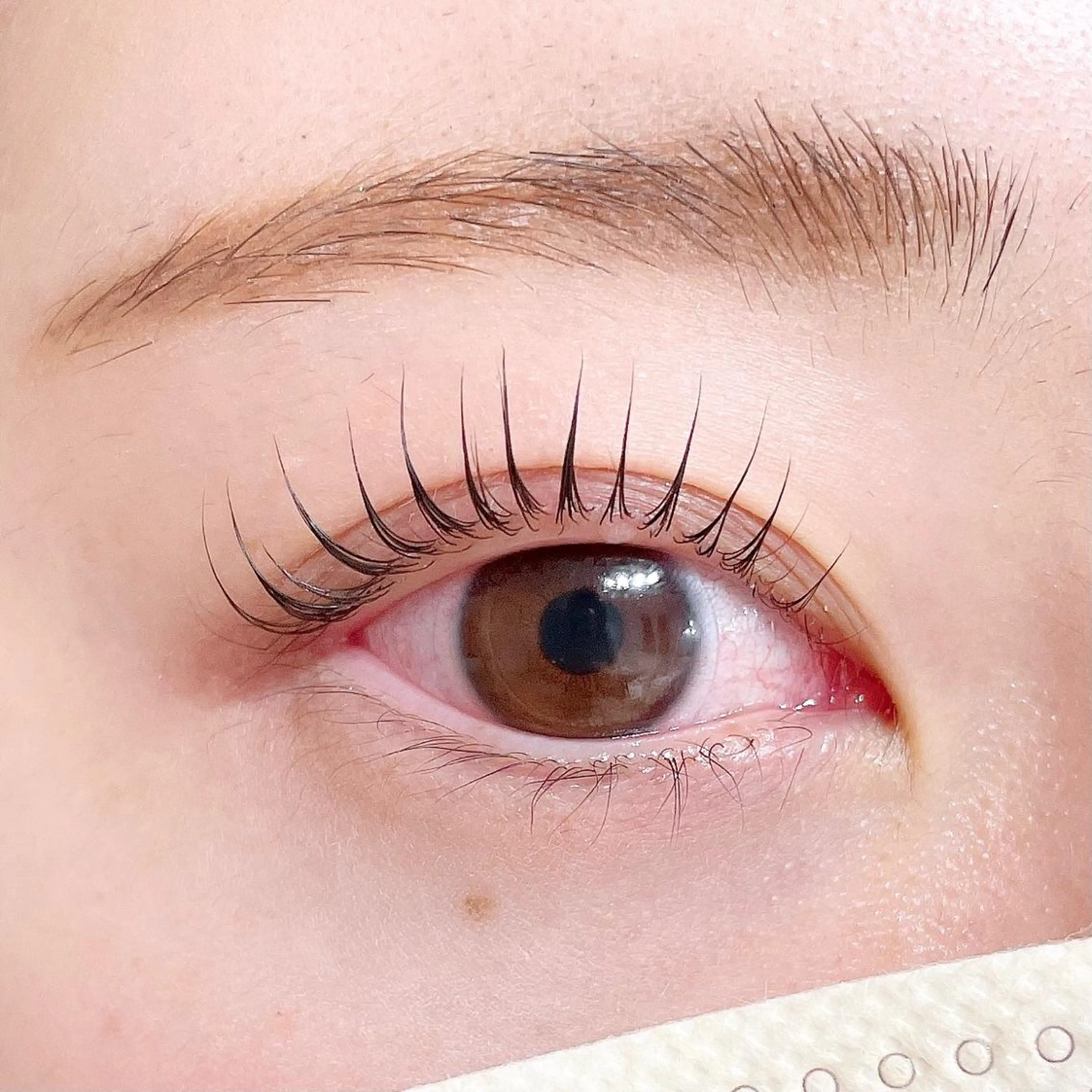 マツエク・マツパ ant_u🌷 arisaのマツエク・マツパデザイン