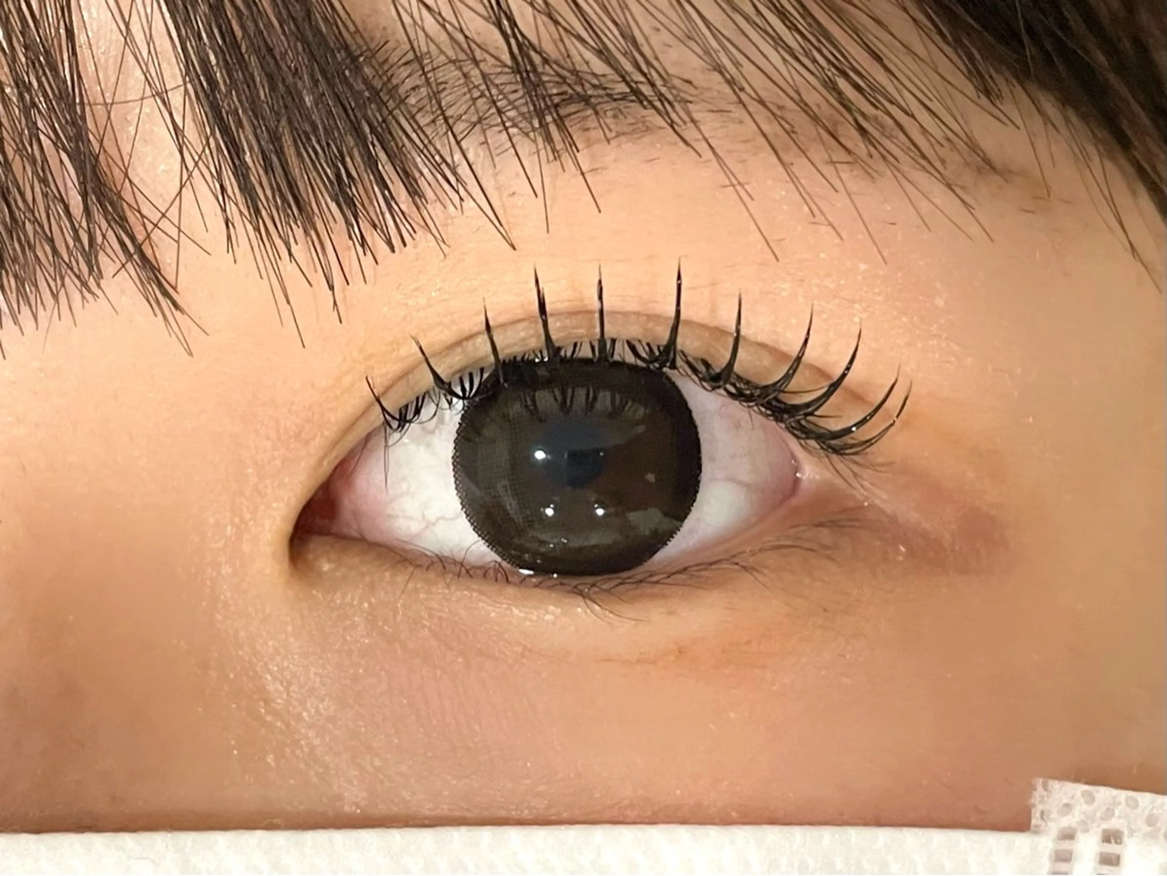 フラットロック⭐︎80束の写真