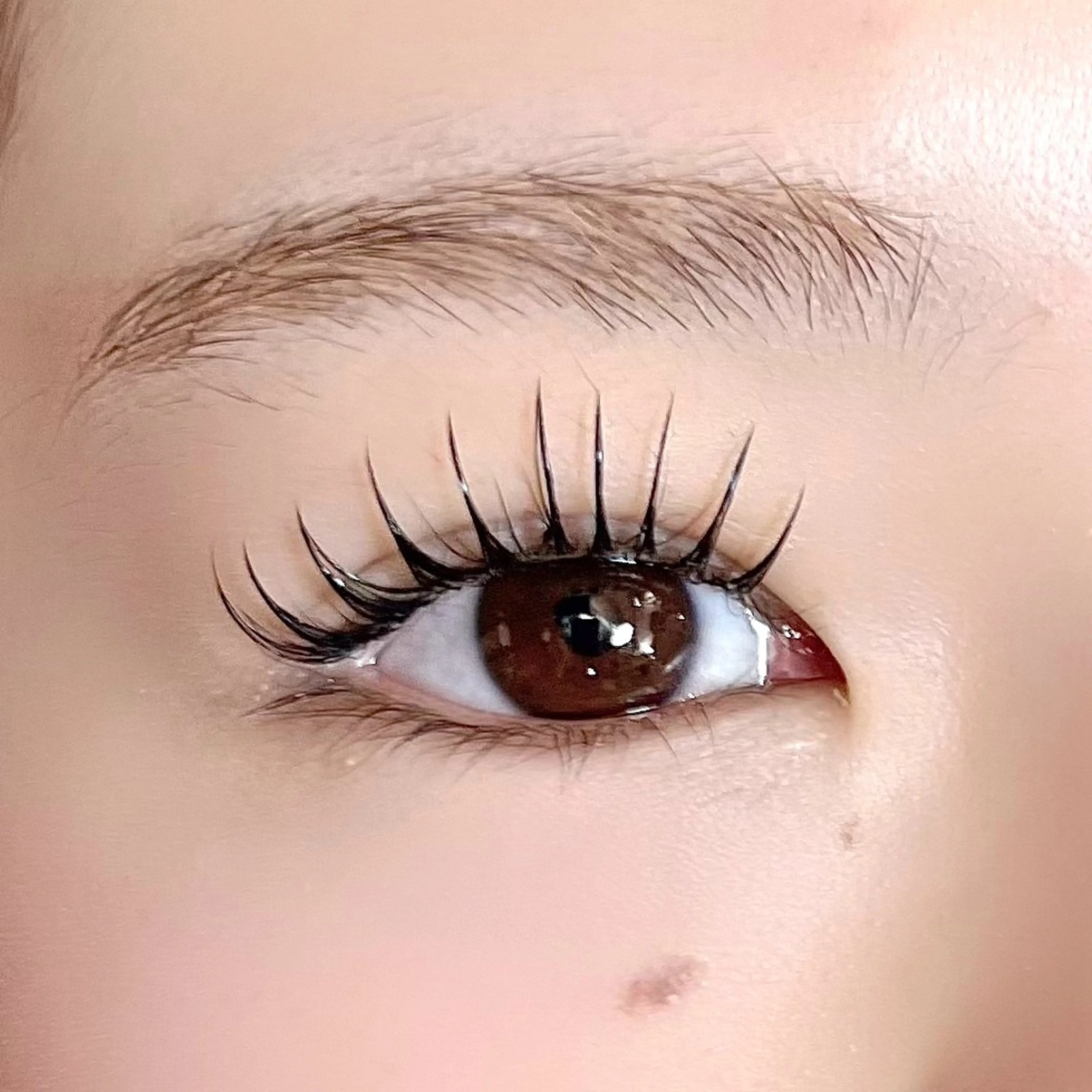 マツエク・マツパ ｻ ﾏ ﾀ ﾊ ﾙ ｶのマツエク・マツパデザイン