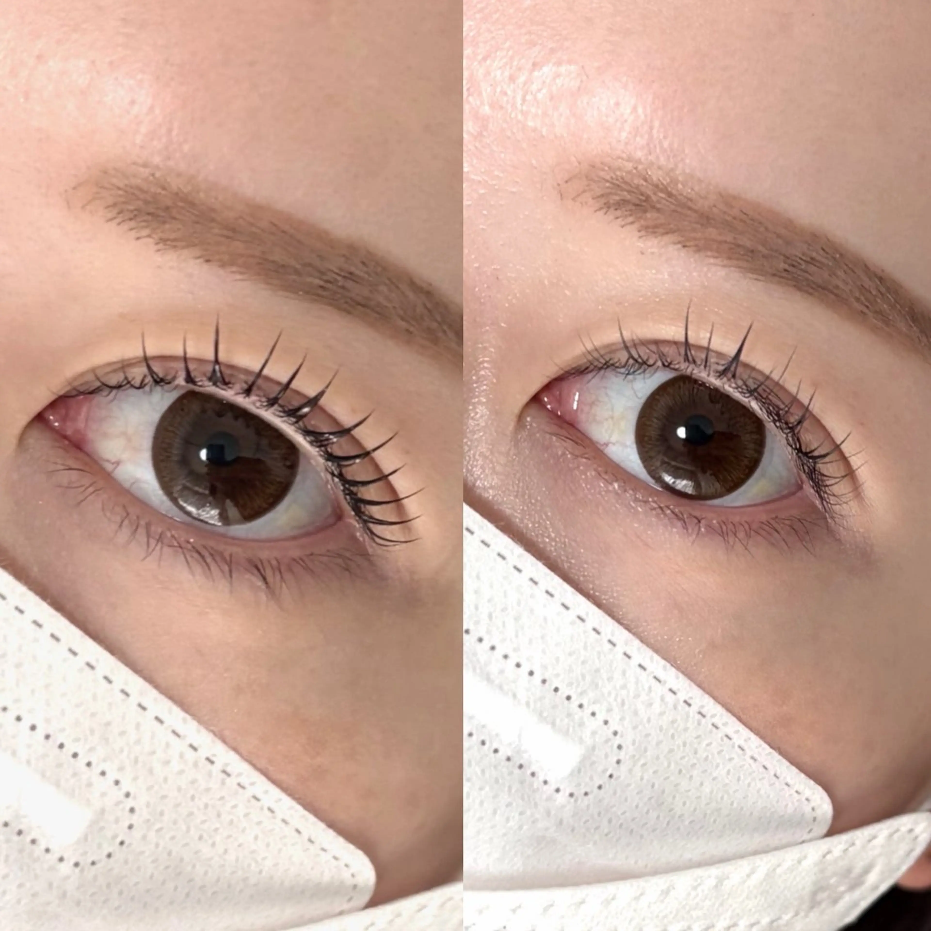 【1番人気】韓国式🇰🇷まつ毛パーマ上のみ🌷の写真