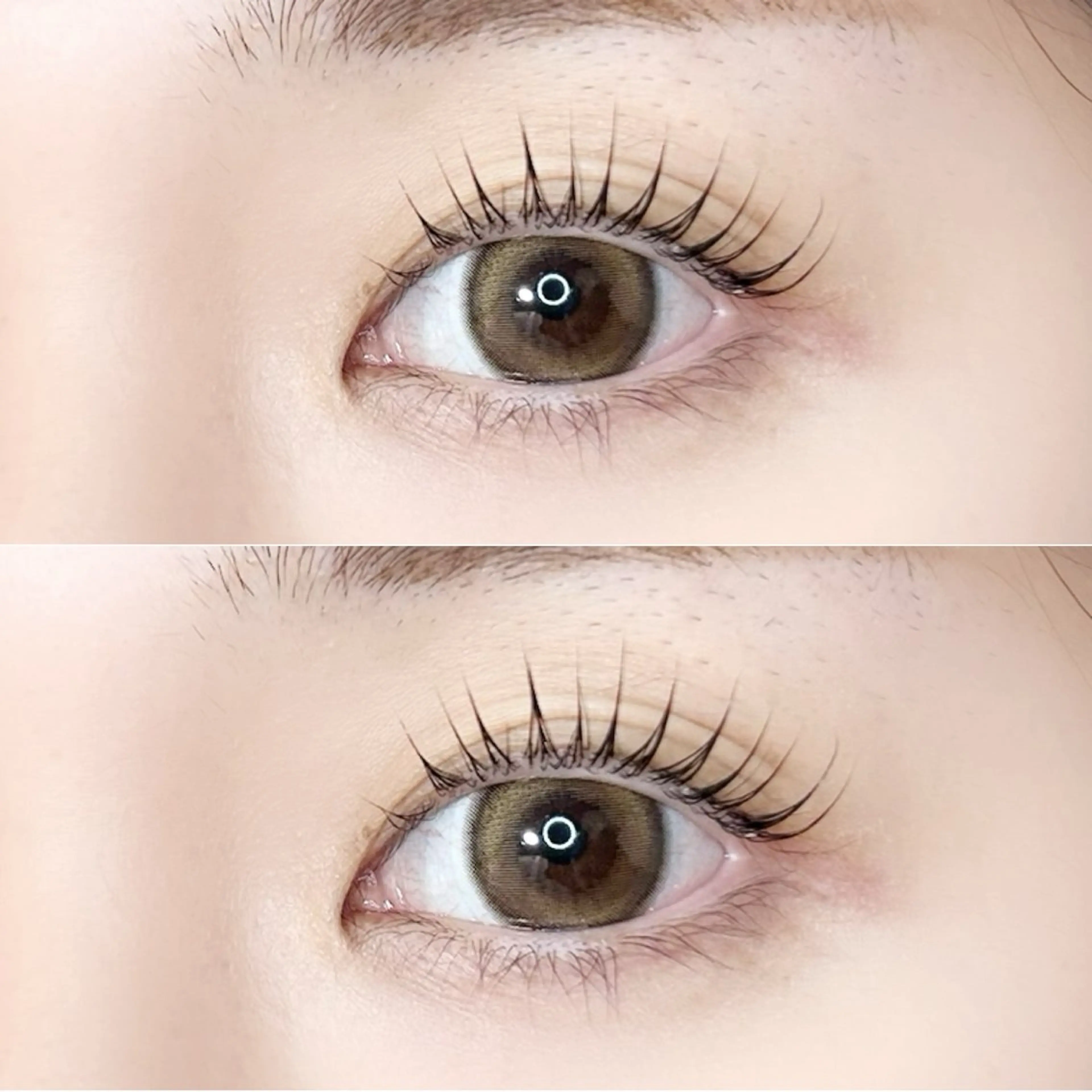 マツエク・マツパ マツパ Gluttony/ ｸﾞﾗﾄﾆｰ＊ユキのマツエク・マツパデザイン