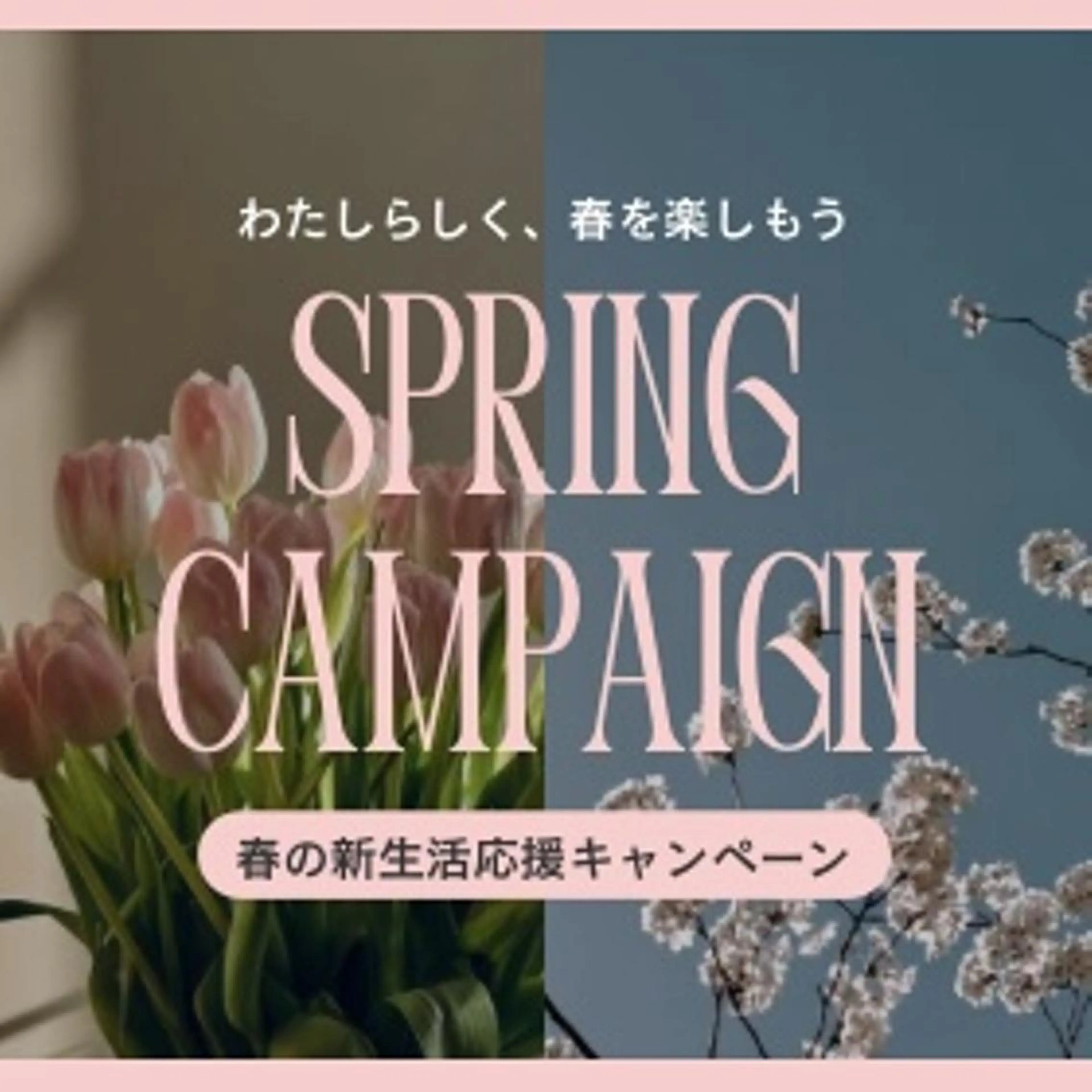 🤍新生活応援キャンペーン🤍まつ毛パーマ✨コーティング付き🌟の写真