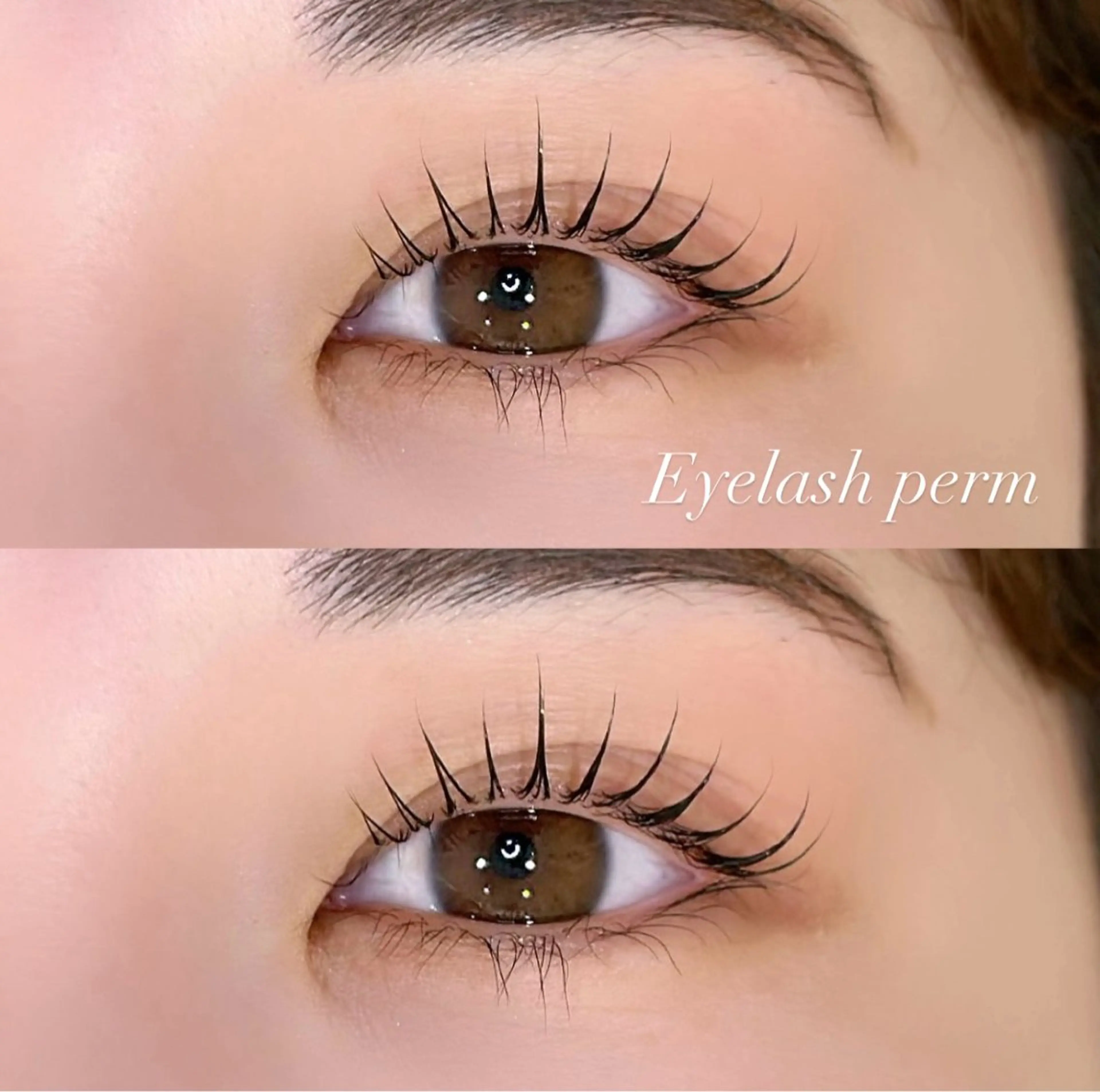 マツエク・マツパ マツパ prize iris ASUKAのマツエク・マツパデザイン