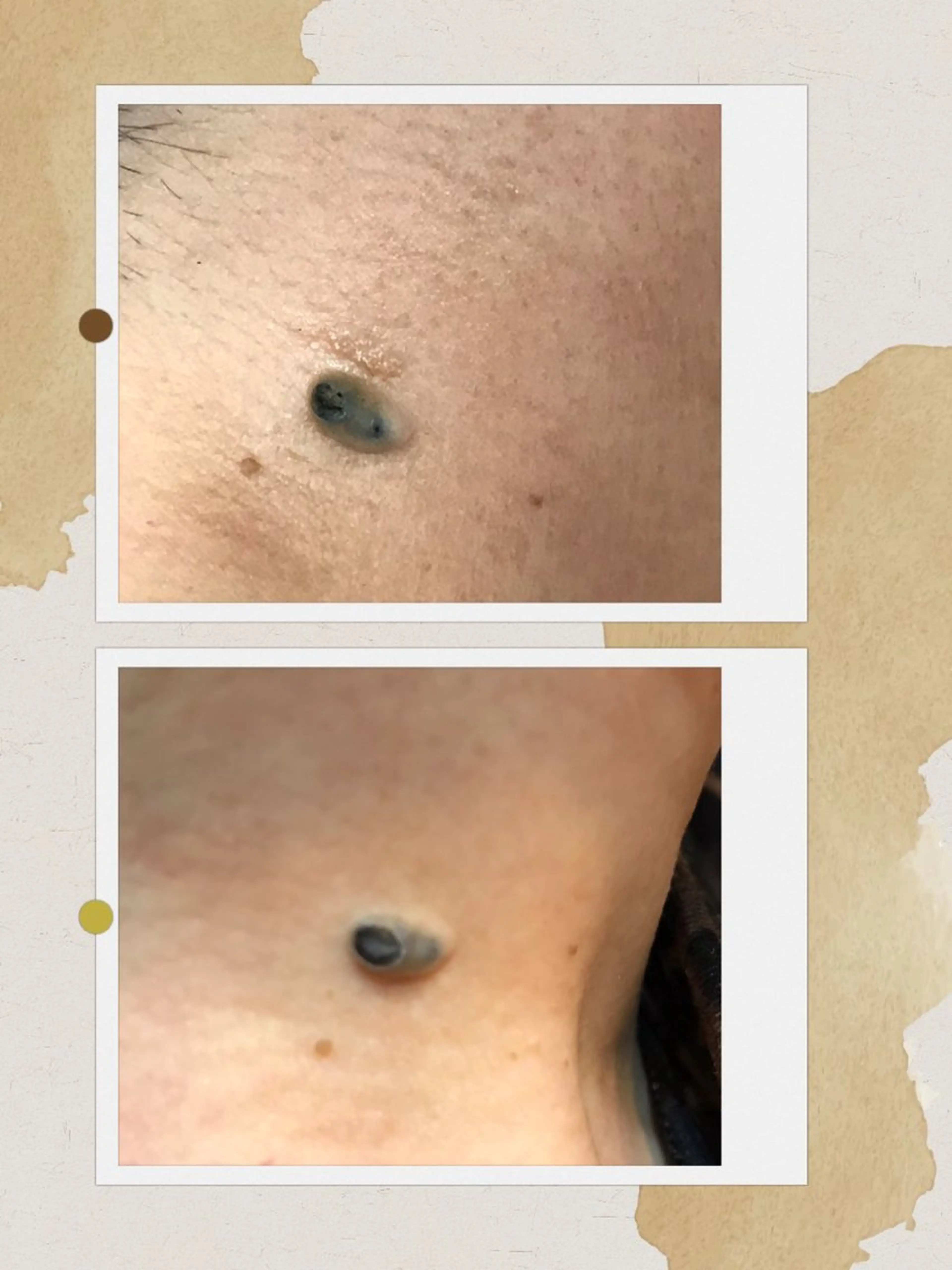 ヌーベル プリュムのその他イメージ