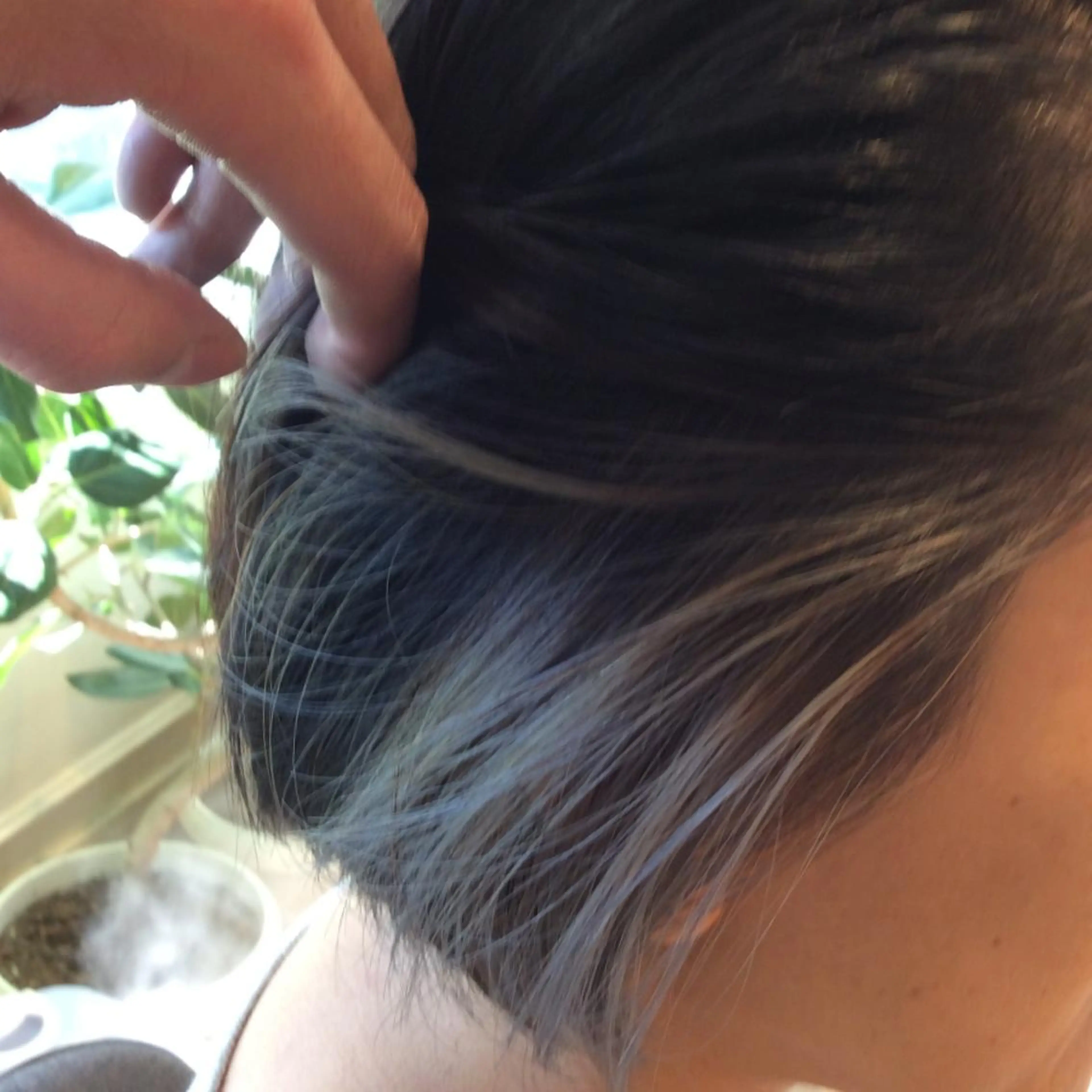 ショート カラー アッシュ ダブルカラー シルバー シルバーアッシュ 木村 昇のヘアスタイル