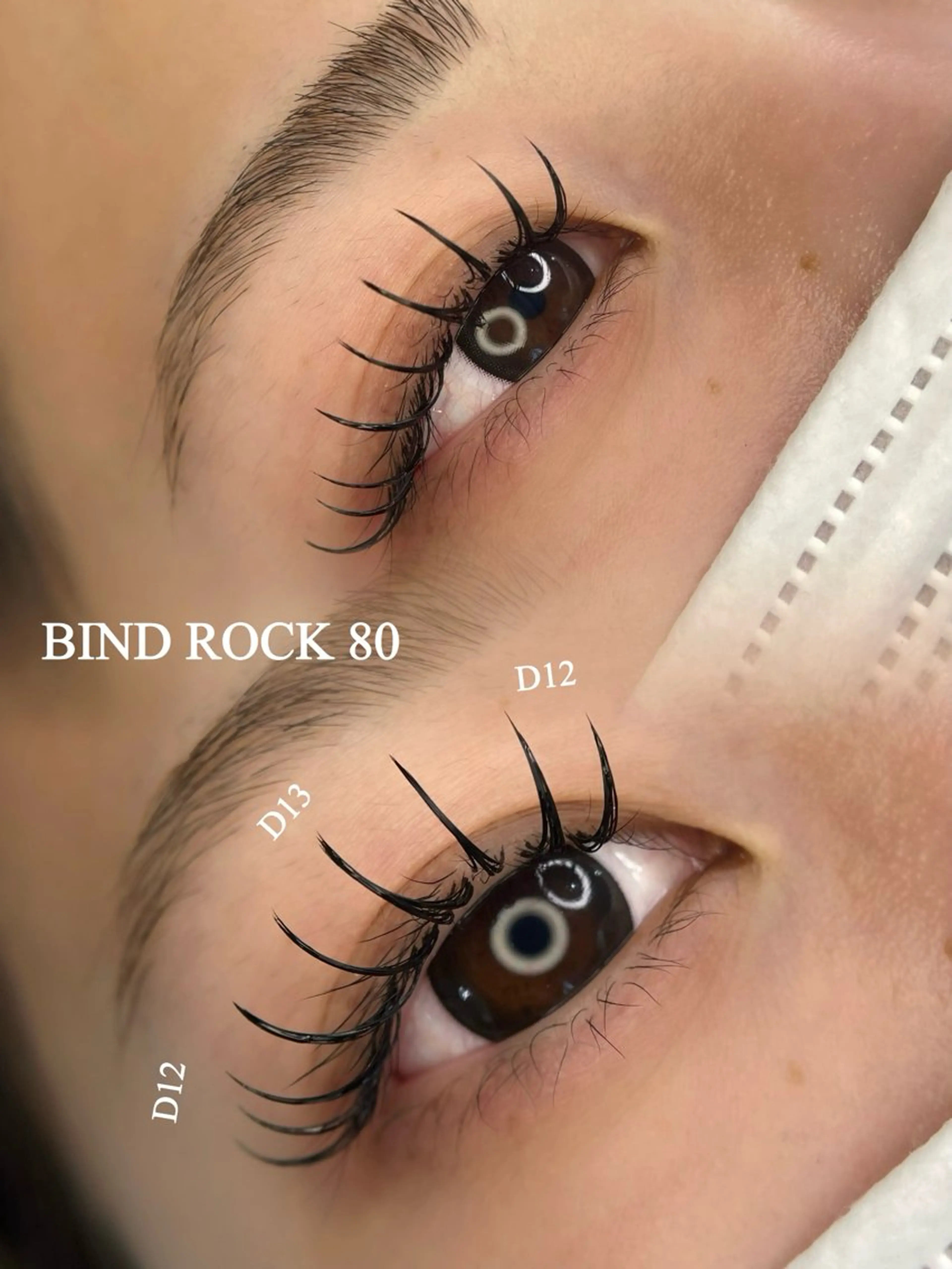 BIND ROCK 60束✅オフ無料の写真