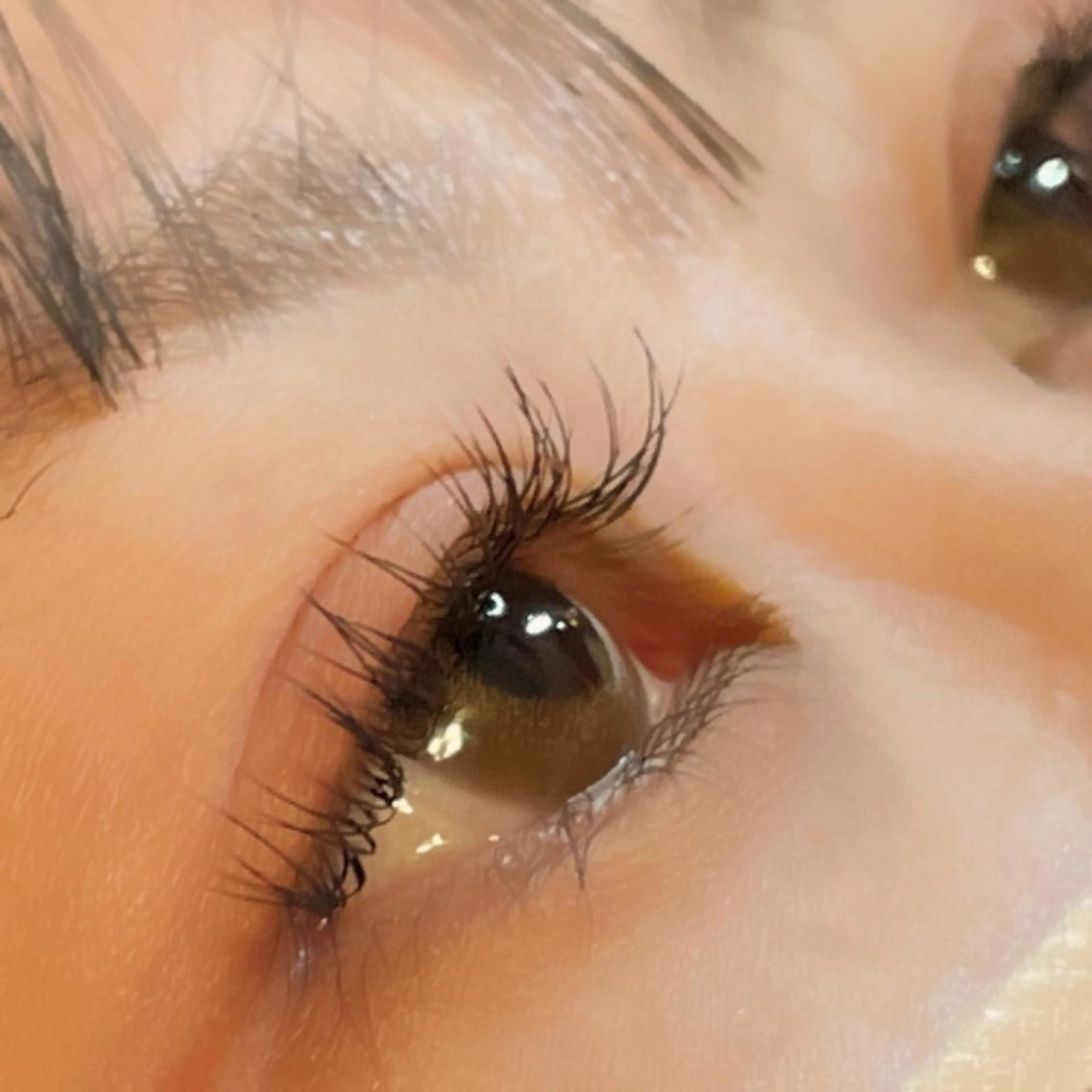 マツエク・マツパ CCカール Cカール マツエク Orange Camelのマツエク・マツパデザイン