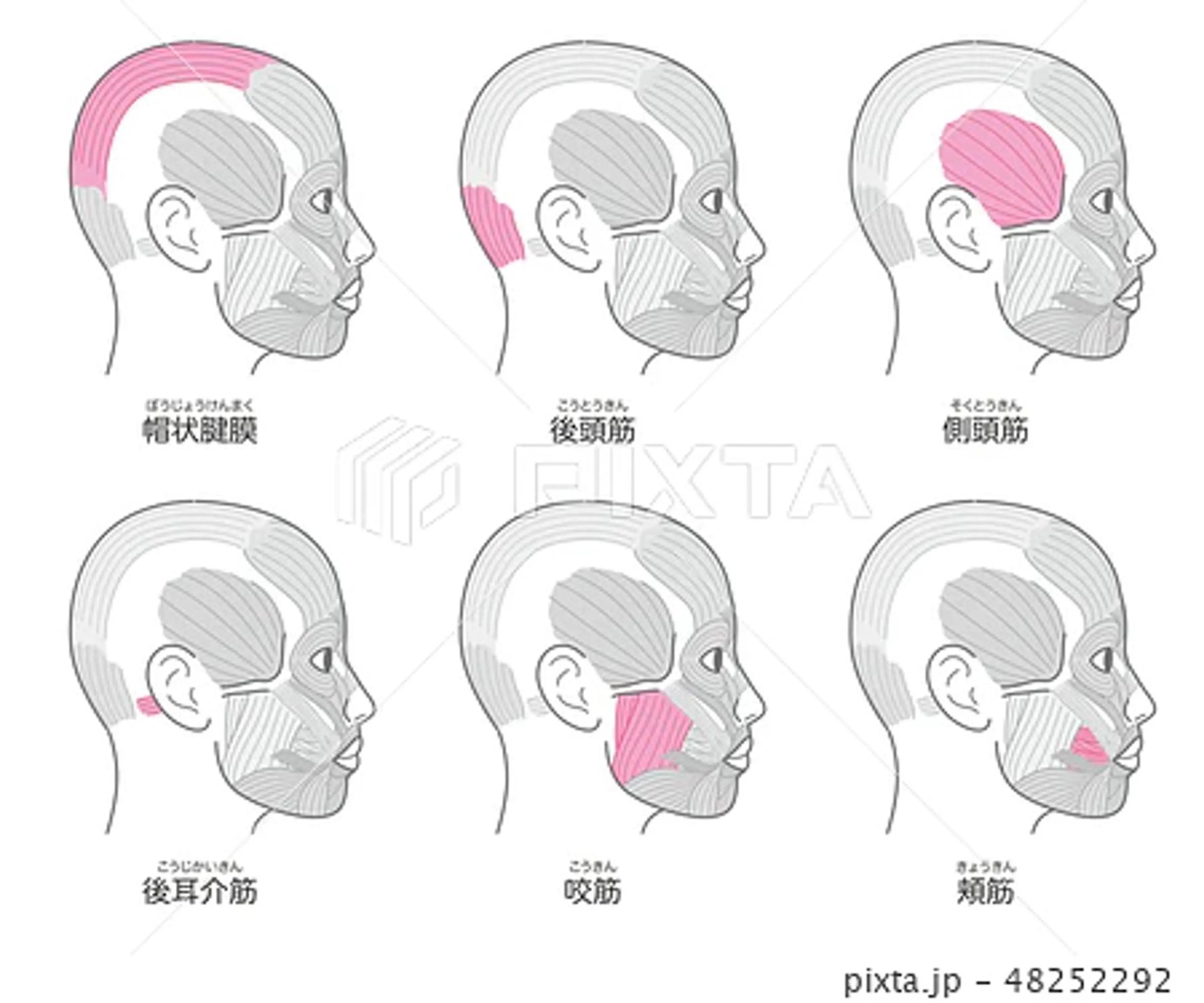 リラク WiLL川井田 志津子のエステ・リラクイメージ
