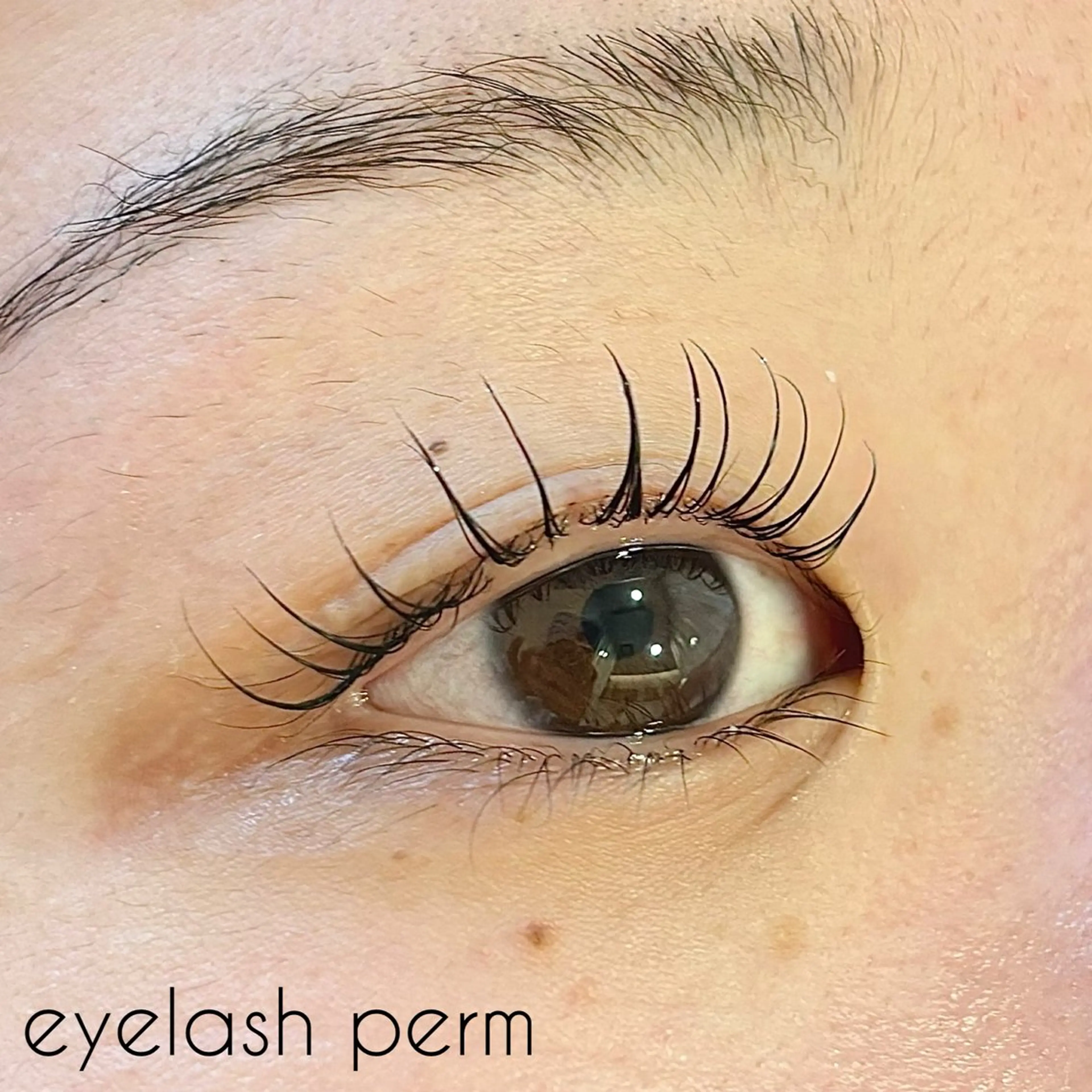 マツエク・マツパ パリジェンヌラッシュリフト ✧elpatio✧︎ 小出紗羅のマツエク・マツパデザイン