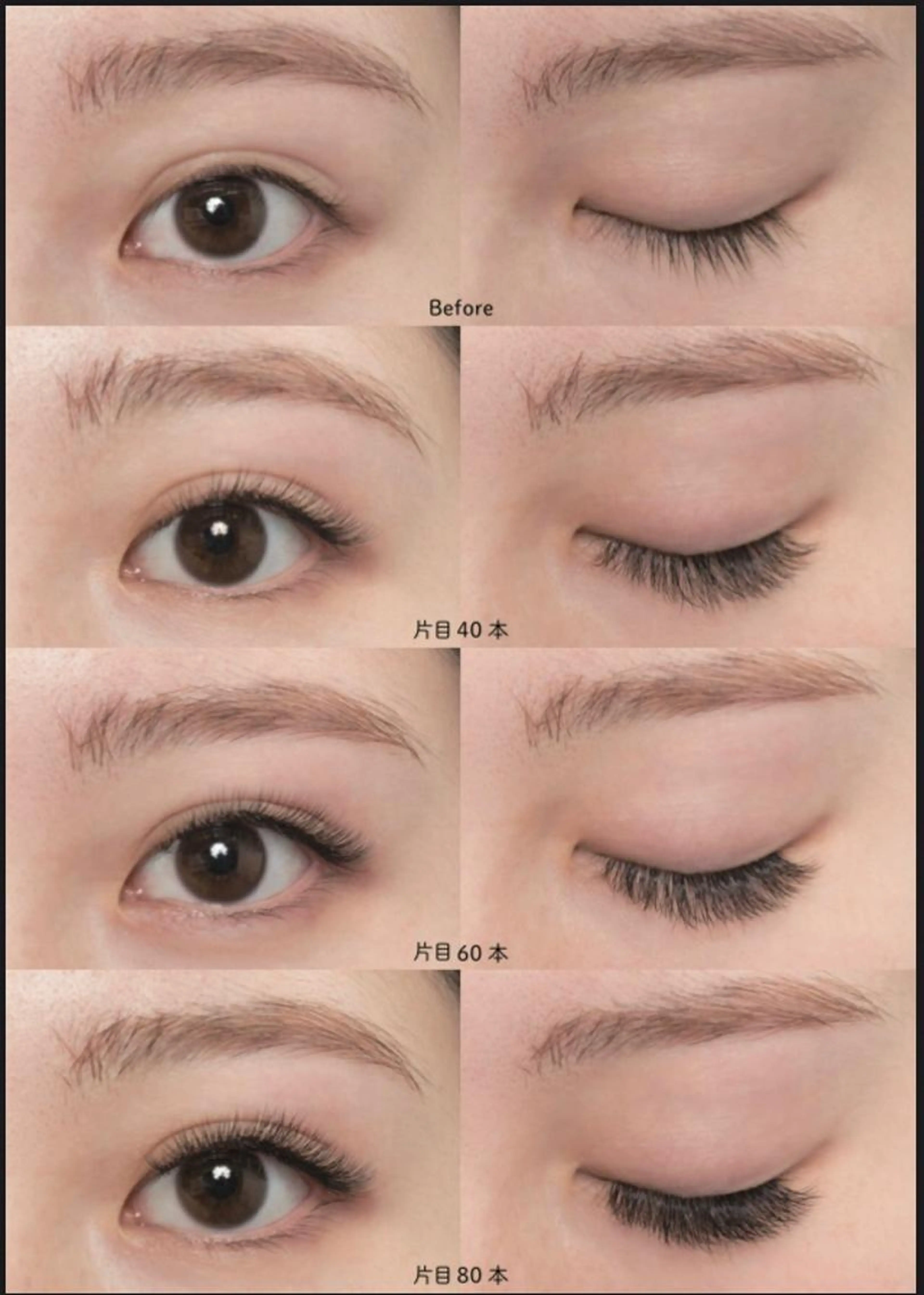 ボリュームラッシュ160束(320本〜480本) ★オフ無料コーティング込 DDカール有りの写真