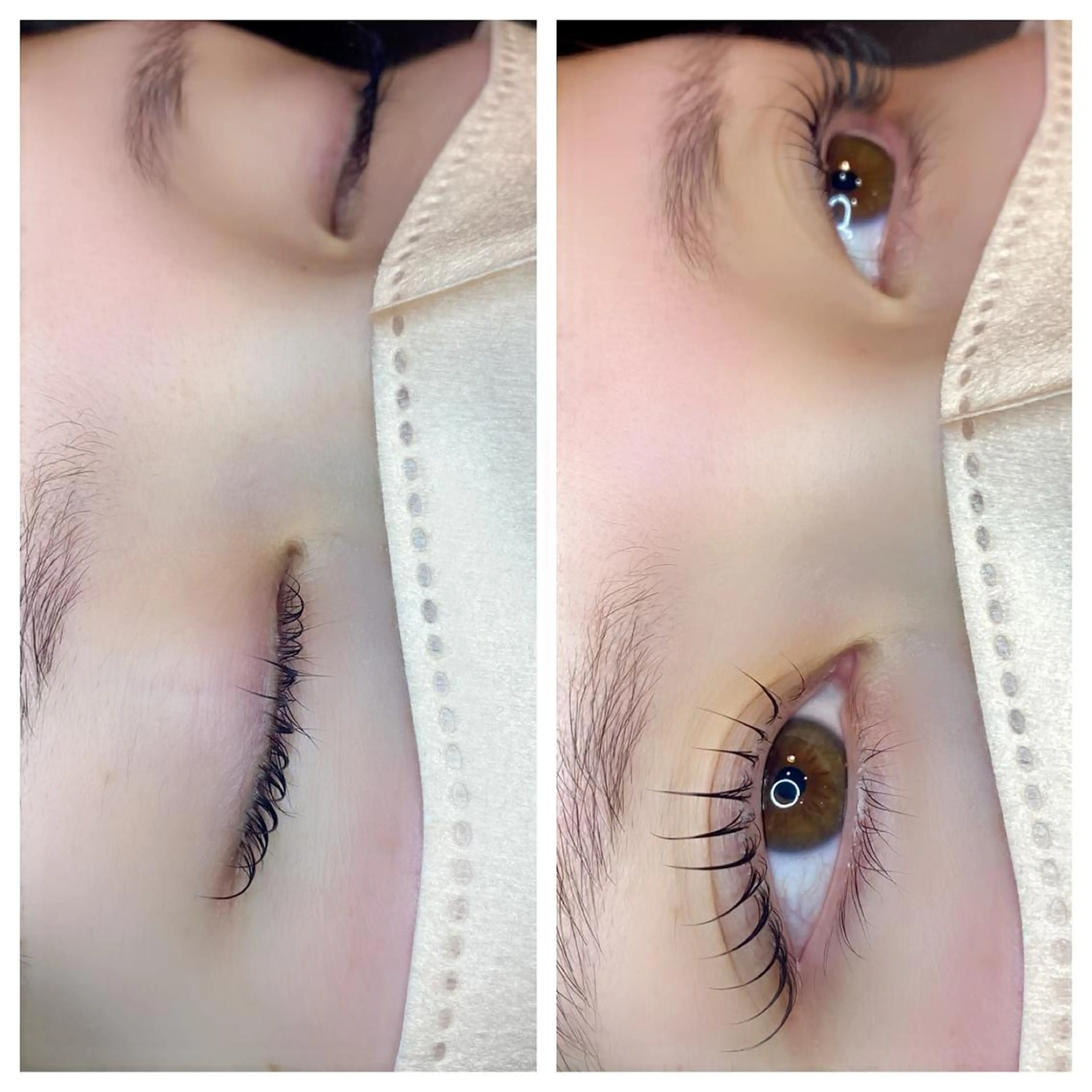 初回ご来店限定🌼ラッシュリフト4500円💫カールor立ち上げ🌟美容成分配合コーティング付の写真