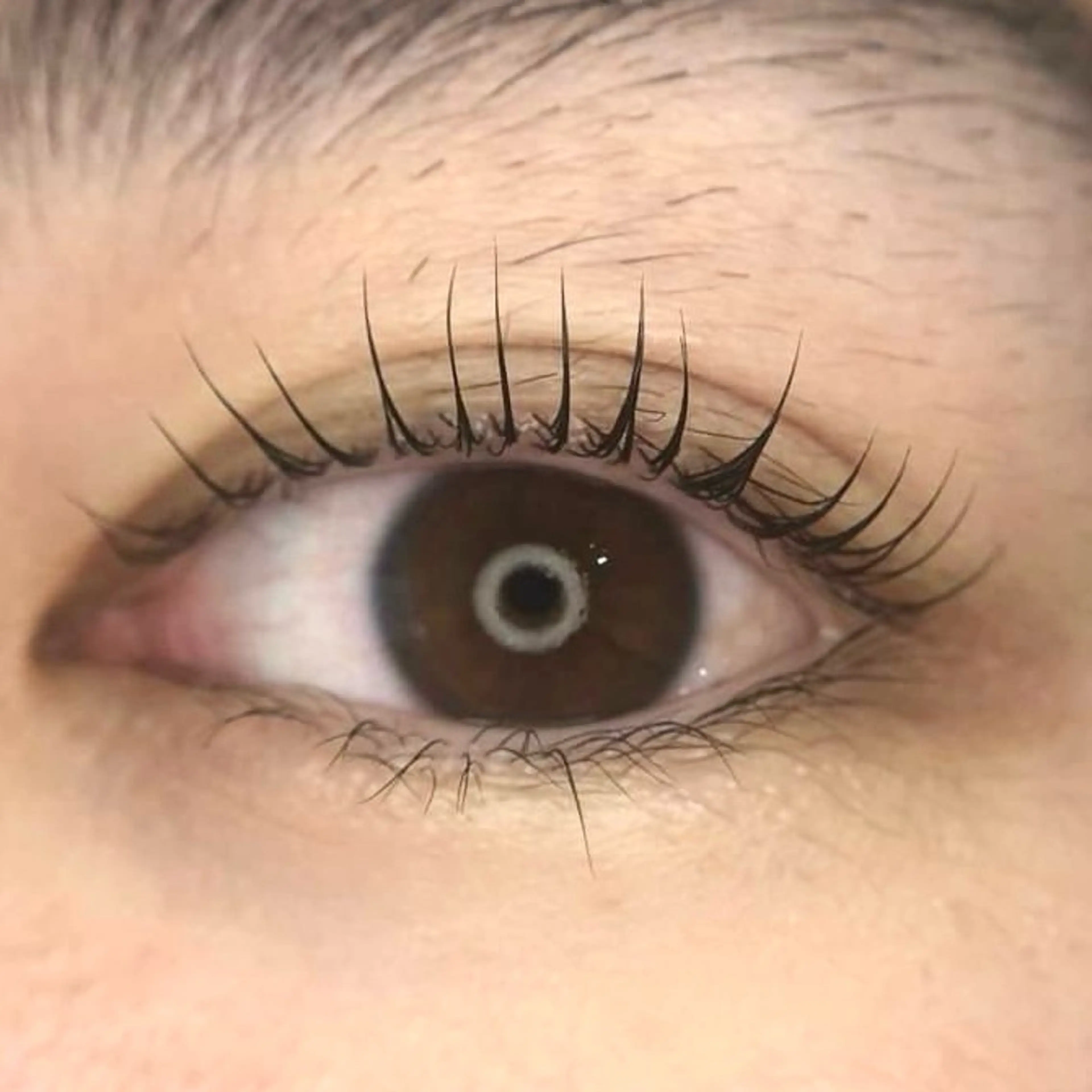 マツエク・マツパ パリジェンヌラッシュリフト 一重×まつ毛パーマ メゾンドシャルム NISHIKAWAのマツエク・マツパデザイン