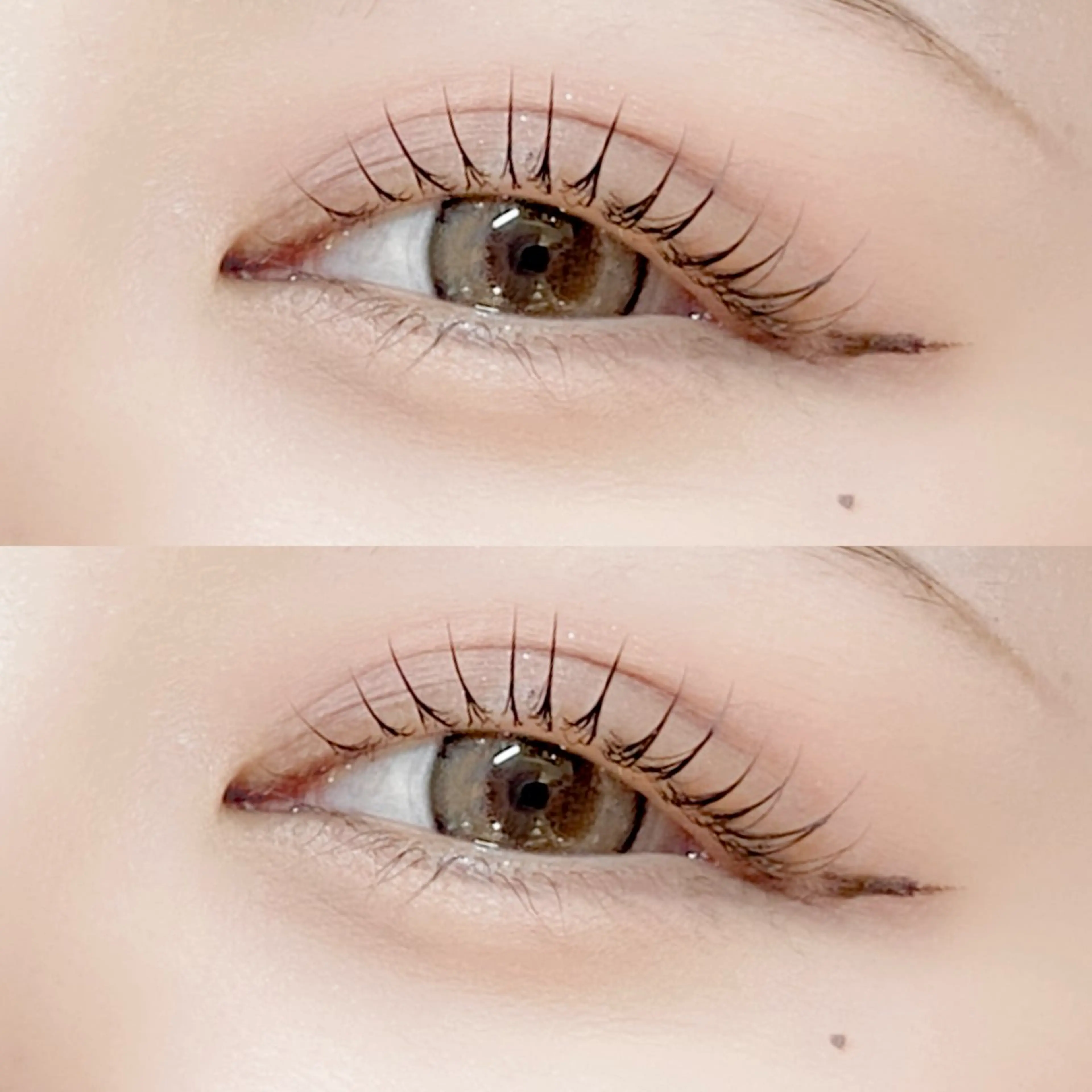 マツエク・マツパ 🐶Pupu lash🐶のマツエク・マツパデザイン