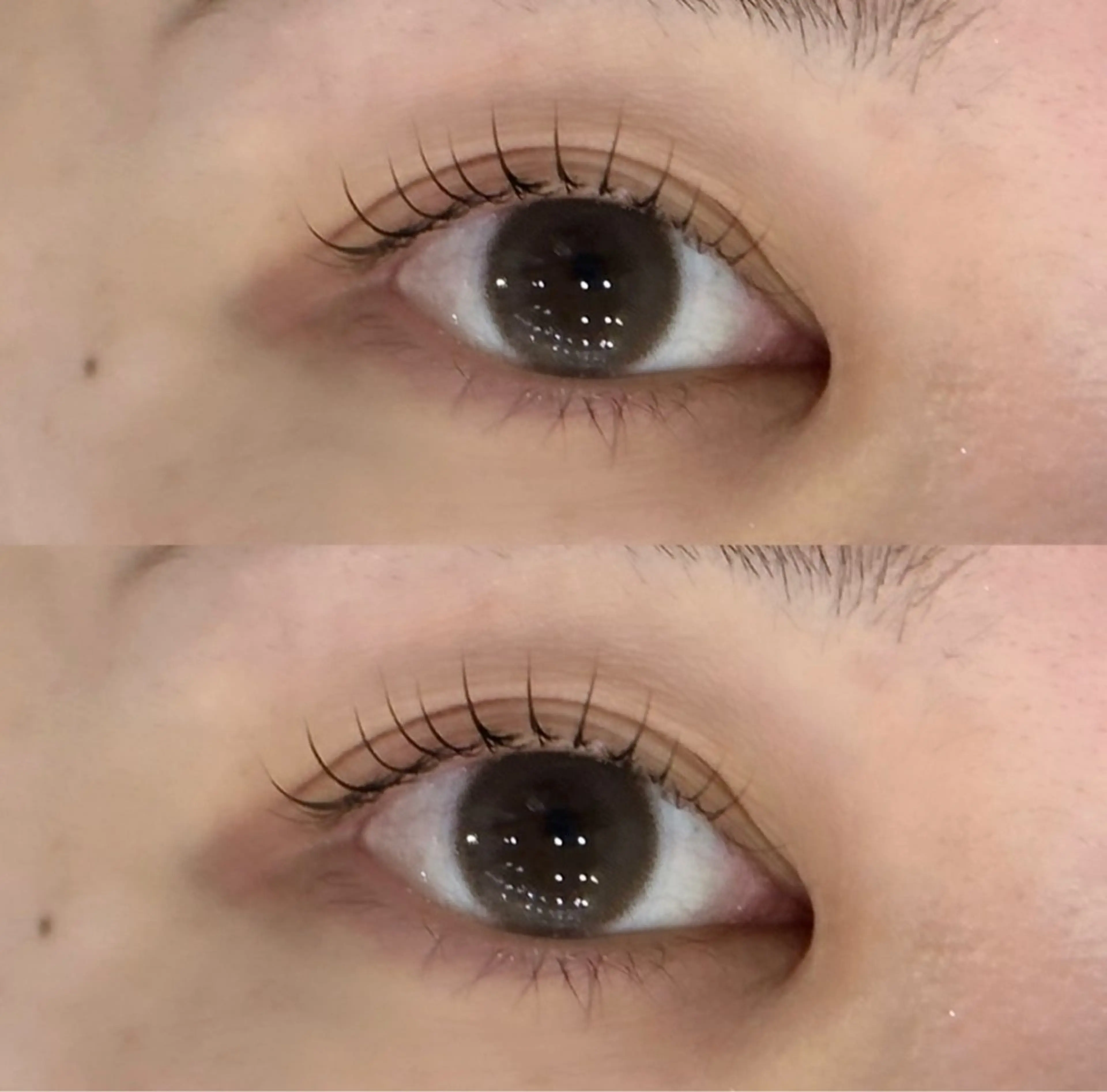 〈メーテルラッシュ🌷上のみモデル〉⚠️日時指定あり⚠️の写真