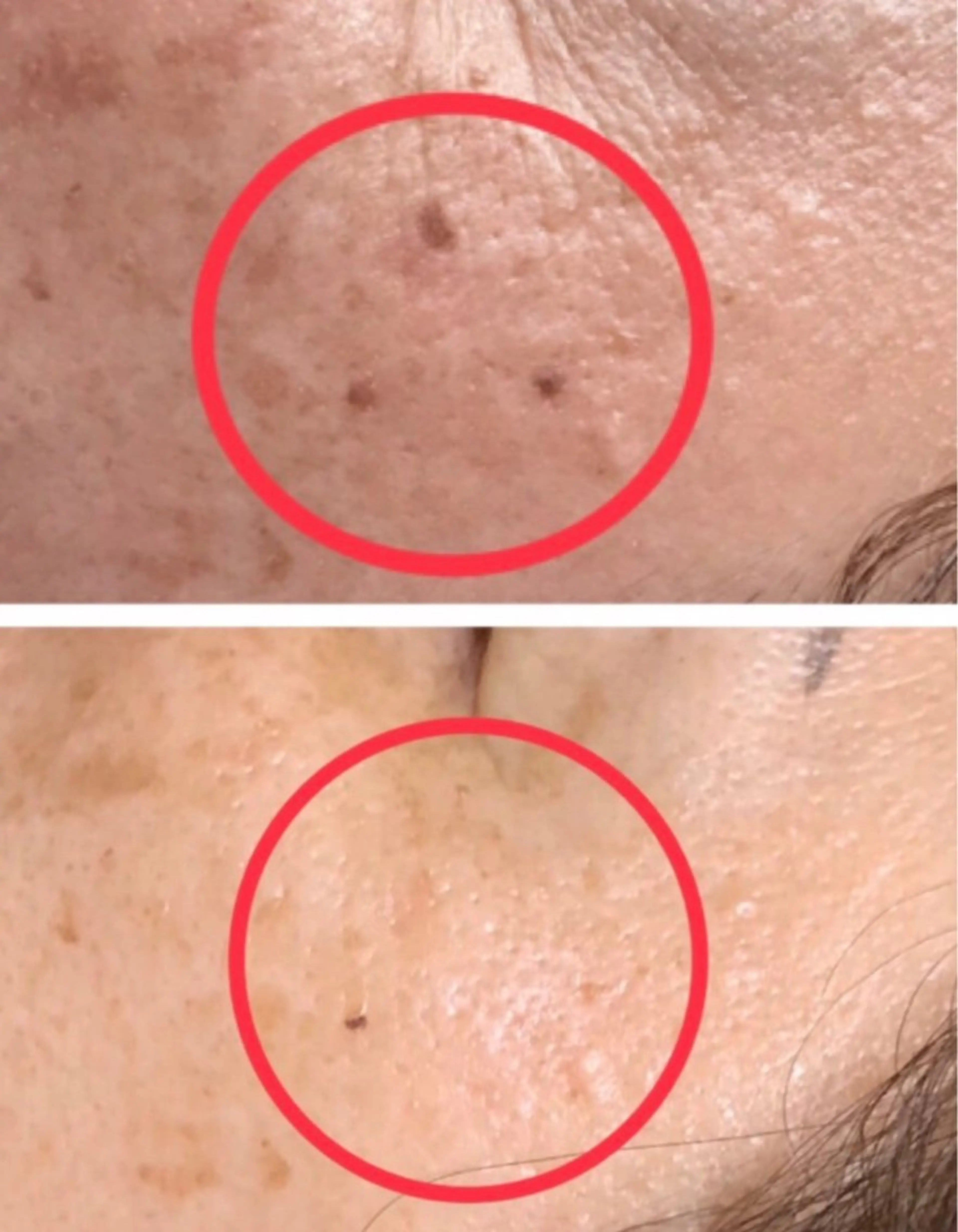 LUZ ルースの眉毛・アイブロウイメージ