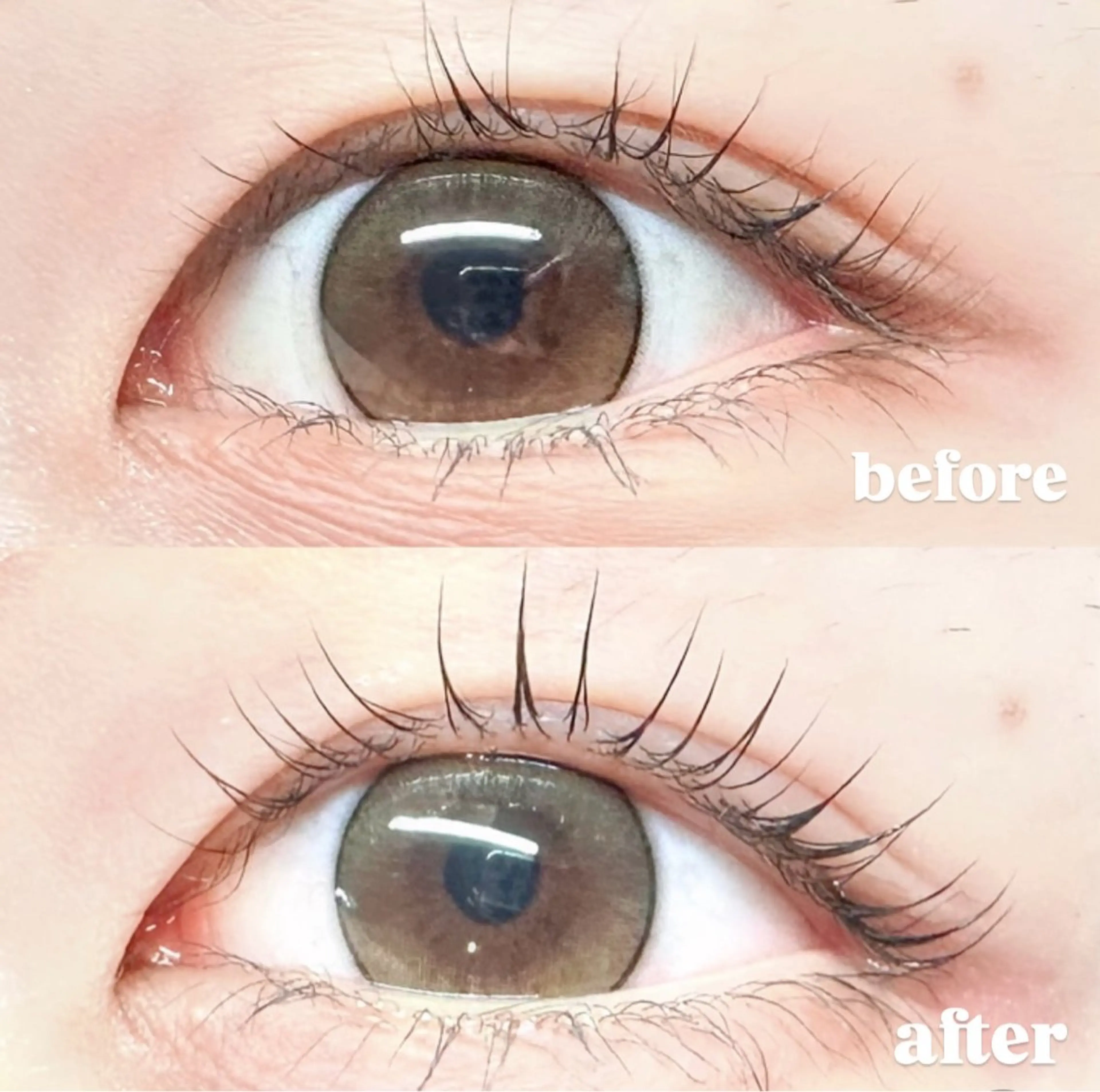 マツエク・マツパ パリジェンヌラッシュリフト 一重×まつ毛パーマ momoka 💕のマツエク・マツパデザイン