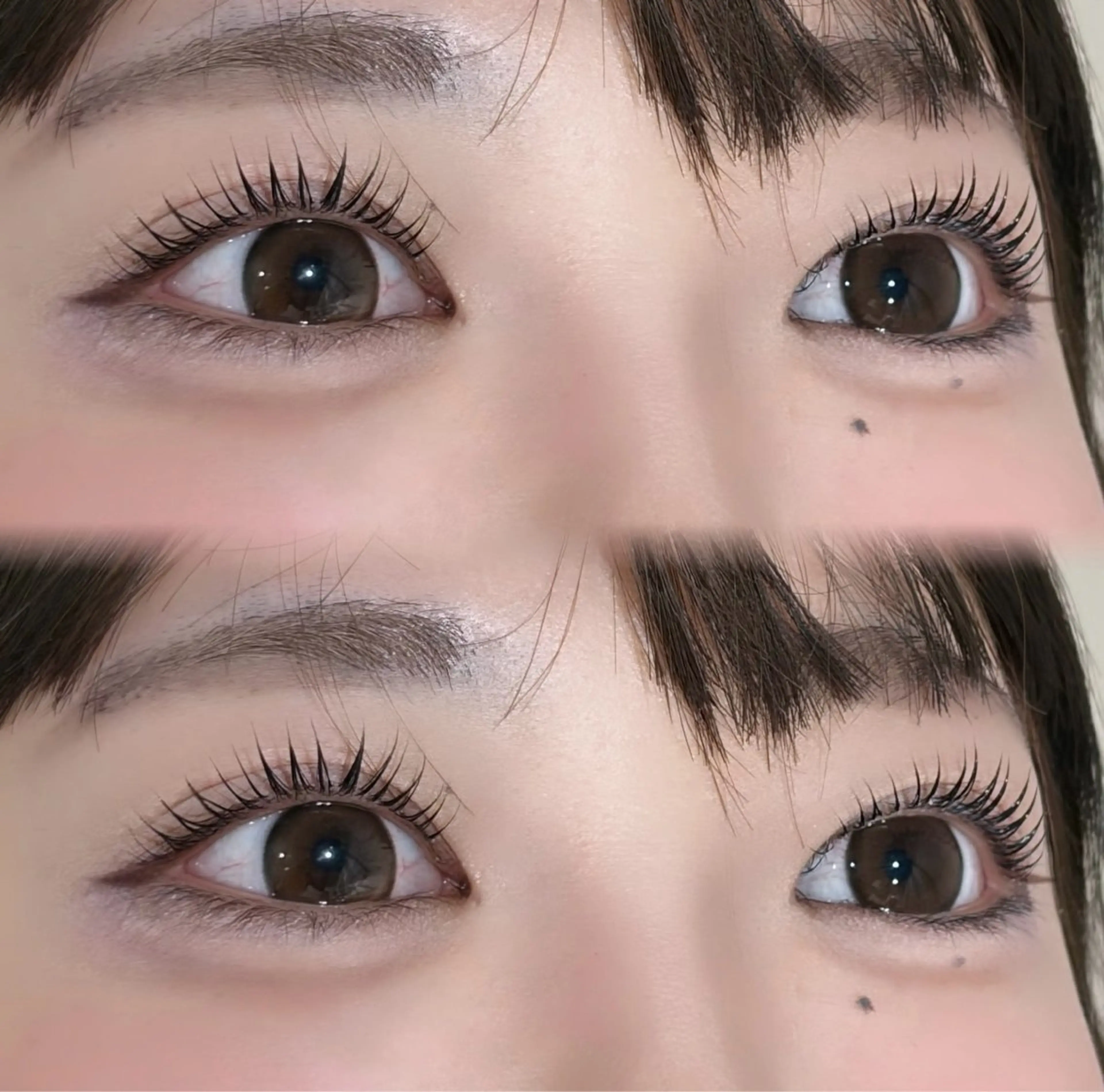 マツエク・マツパ マツパ REVE🖤✧︎*。 yoshioka🎀のマツエク・マツパデザイン